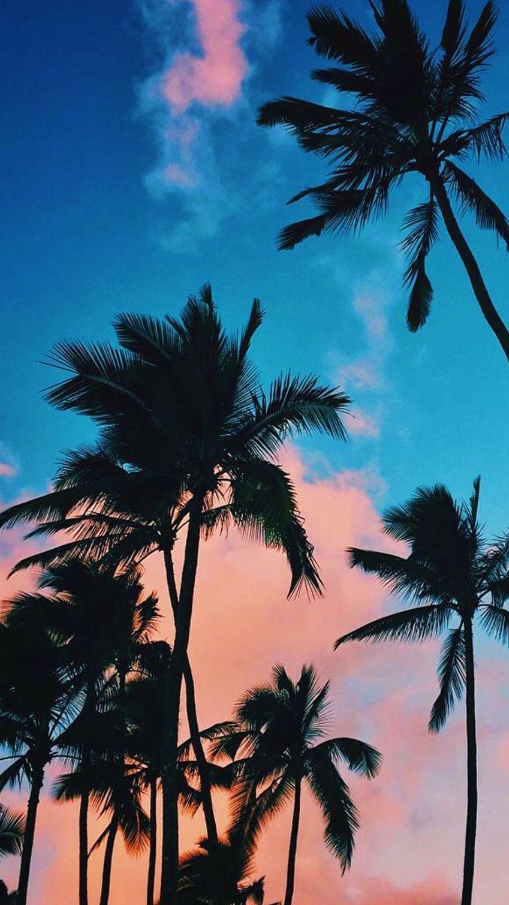 736x1309 Looks like summer in the 80s. Papel de parede para iphone, Tumblr wallpaper, Papéis de parede estéticos