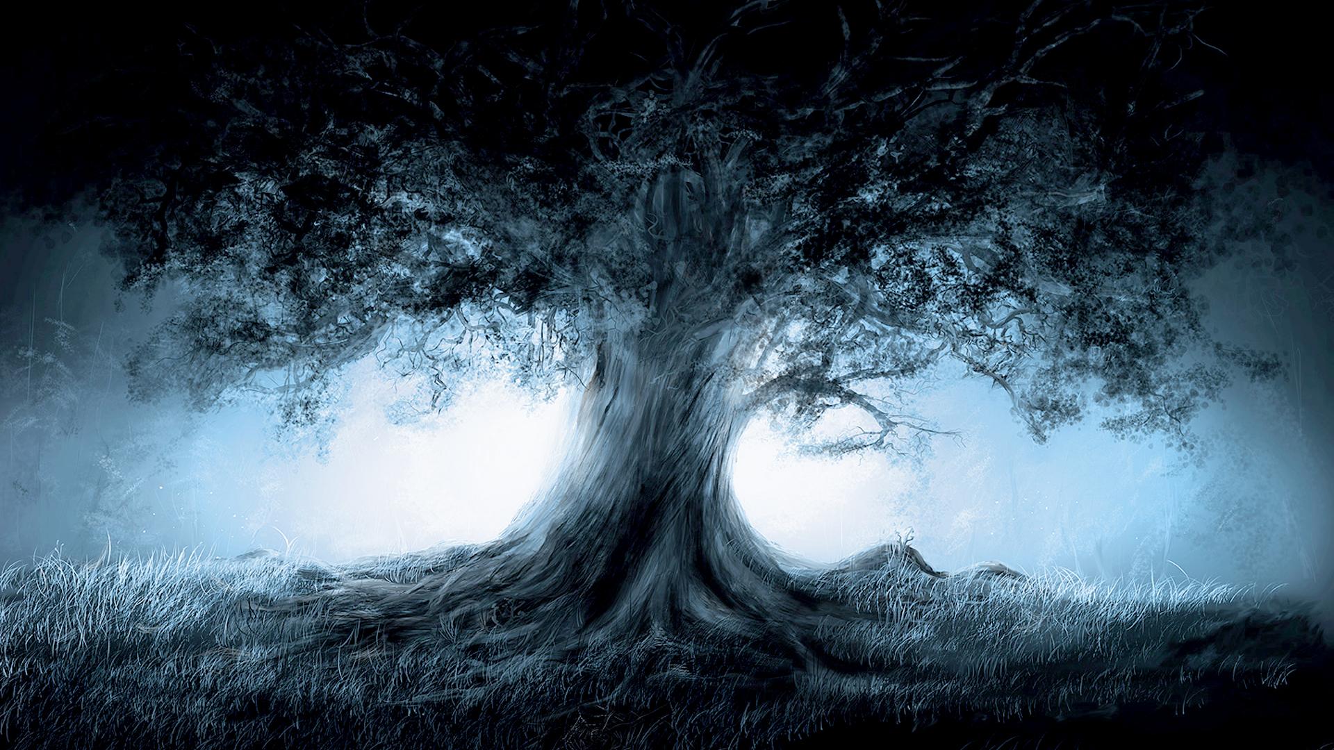 1920x1080 Free download Trees Magic Wallpaper 1920x1080 Trees Magic [1920x1080] for your Desktop, Mobile & Tablet. Explore Magic Wallpaper. Magic The Gathering Wallpaper, Orlando Magic Wallpaper HD, MTG Wallpaper of the Week