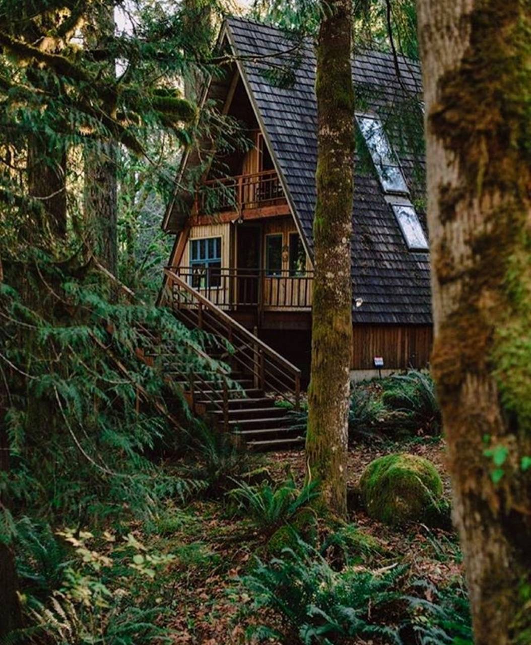 1054x1280 Cabin In The Woods Wallpaper