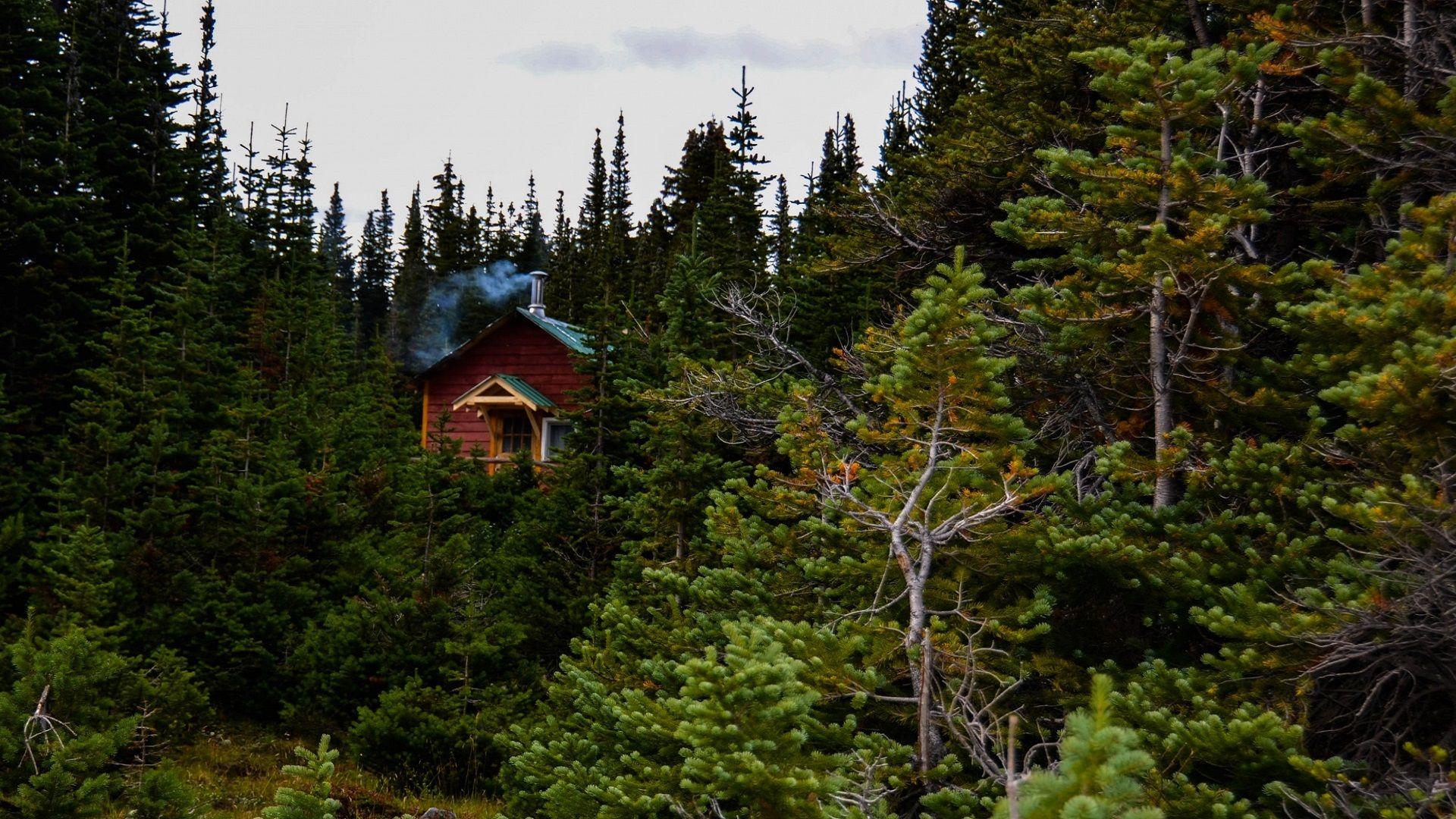 1920x1080 Cabin In The Woods. HD Wallpaper at WallpaperMap.com. Cabins in the woods, Wood wallpaper, Cabin