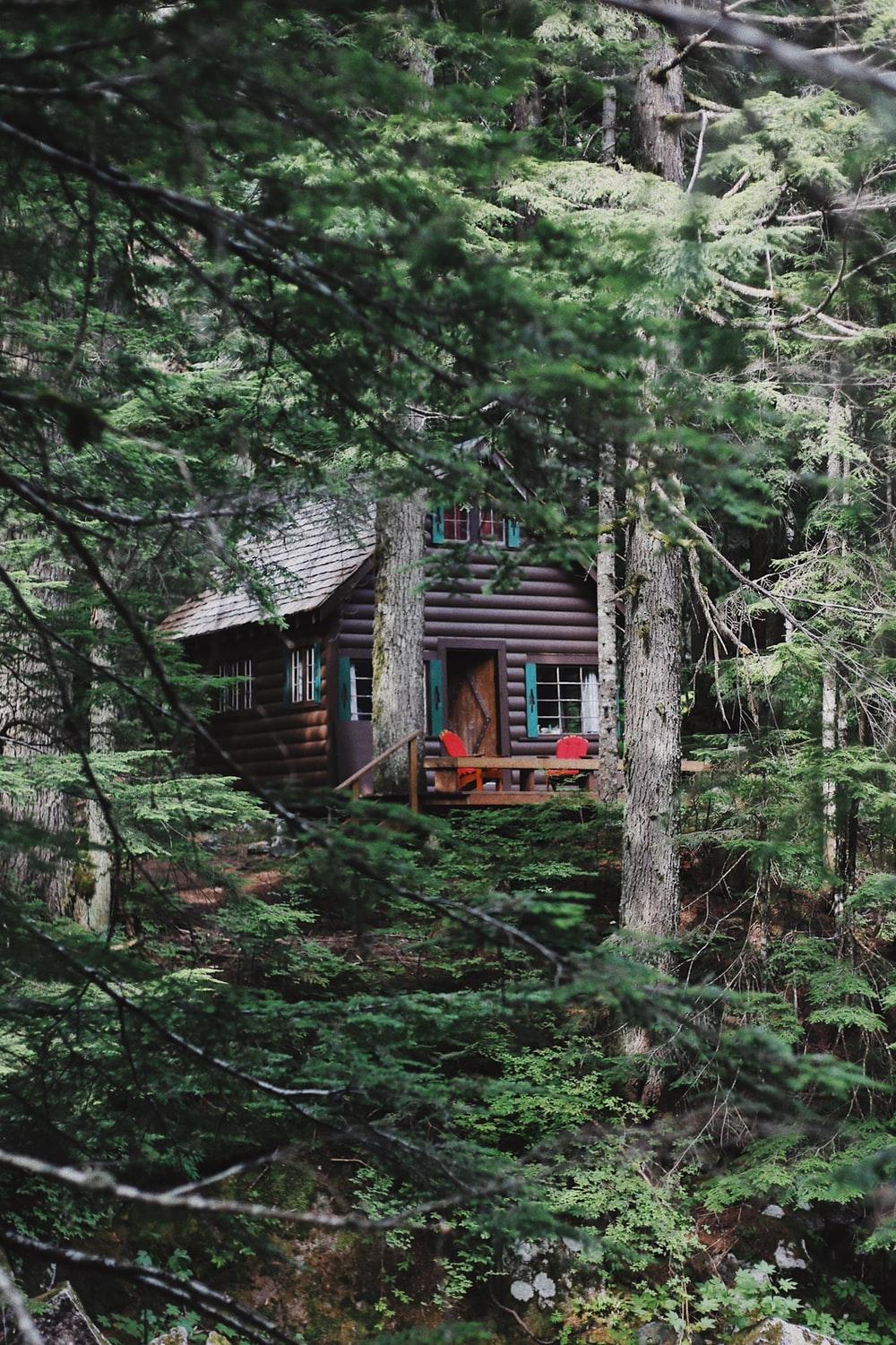 1000x1501 cabin in wood photo