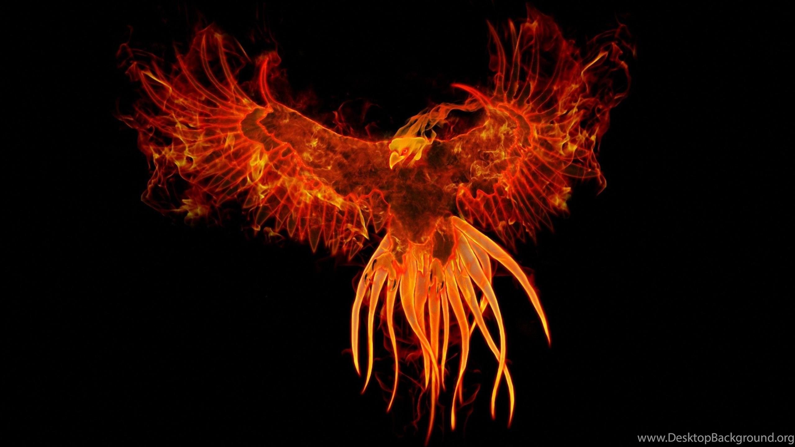 2560x1440 Phoenix, Bird, Digital art, 2560x1440 HD Wallpaper And FREE Stock. Desktop Background