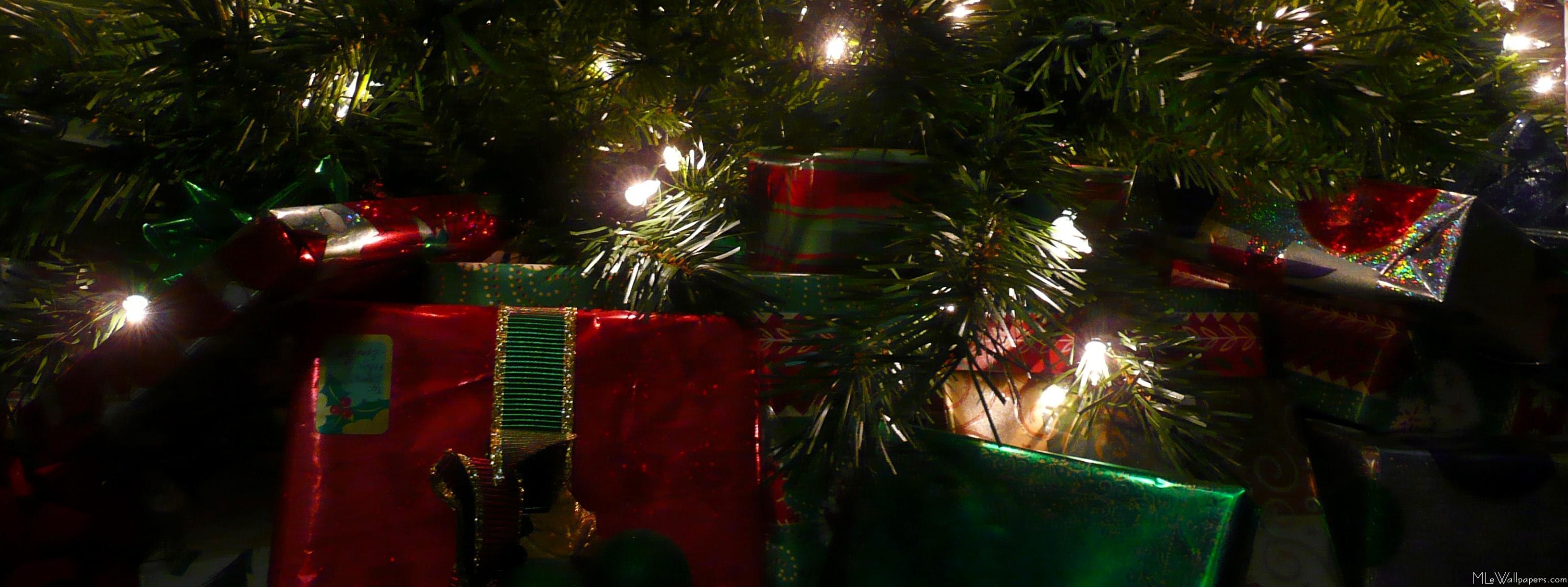 3202x1200 MLeWallpaper.com Under the Tree