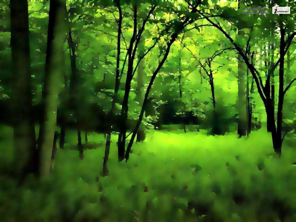 Dark Green Jungle Wallpapers - Top Free Dark Green Jungle Backgrounds ...