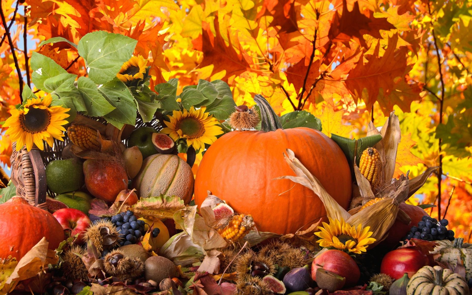 1920x1200 Best Thanksgiving Wallpaper for Mac OS X El Capitan
