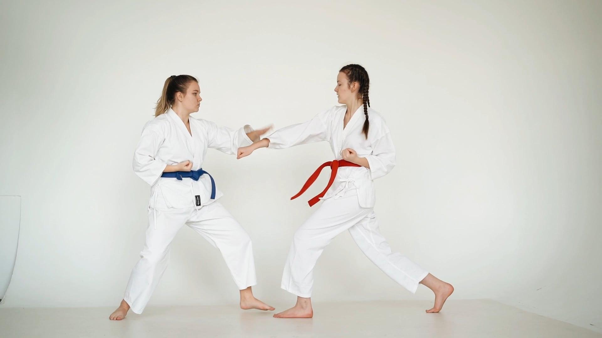 1920x1080 Girls Doing Taekwondo · Free Stock Video