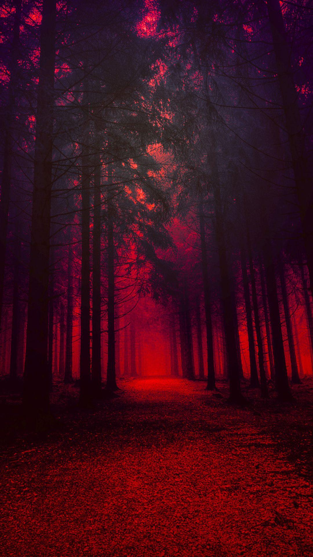 1080x1920 Artistic Red Forest In 1080x1920 Resolution. HD dark wallpaper, Forest wallpaper, Dark red wallpaper