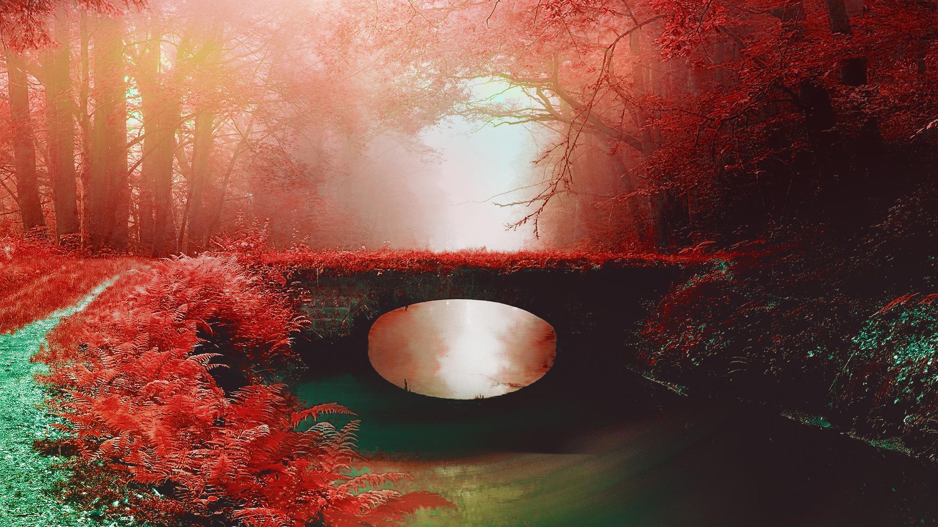 1920x1080 Nature. Red forest. Wallpaper for Android