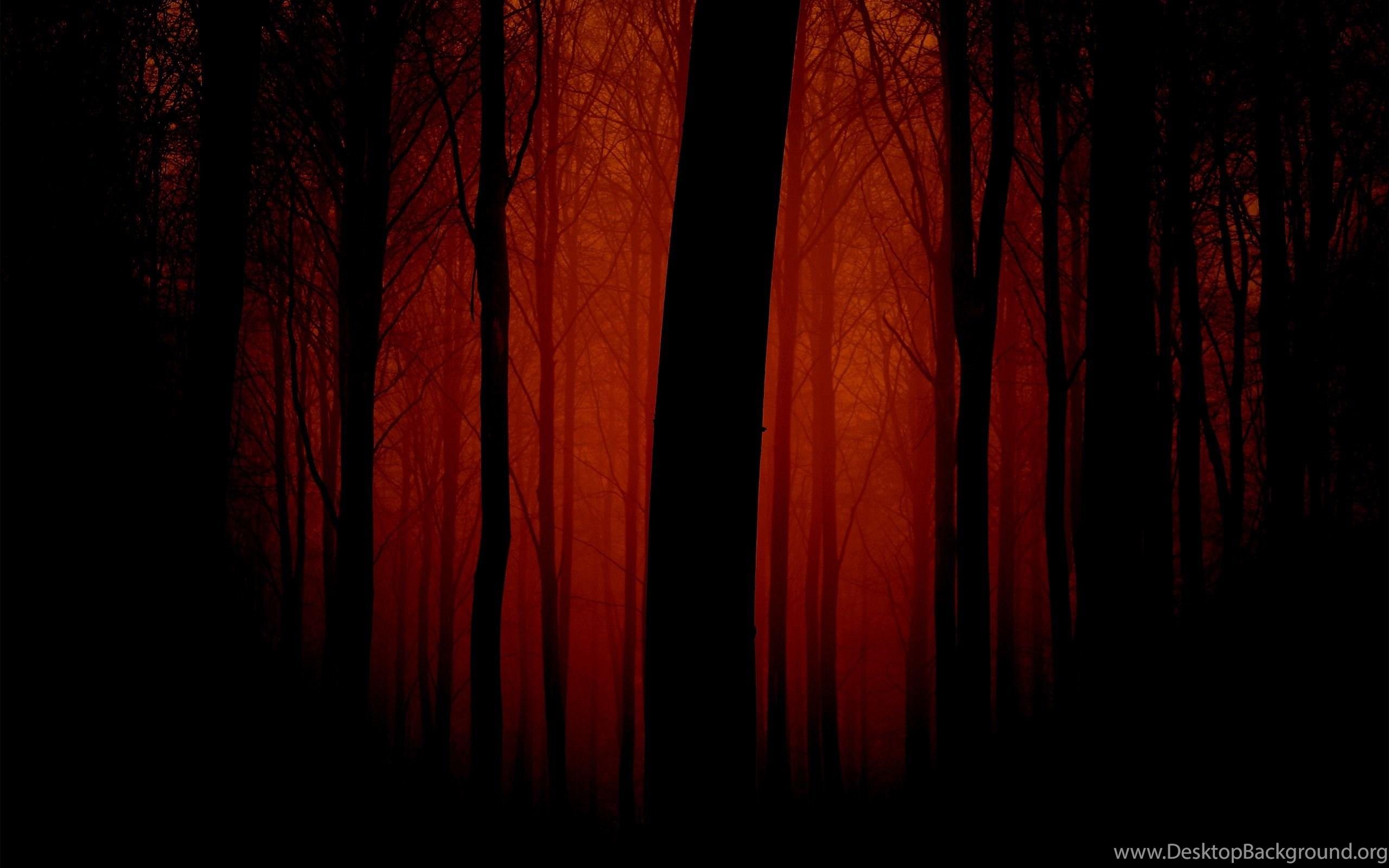 2560x1600 Dark Red Forest Wallpaper 5127 2560x1600 UMad.com Desktop Background