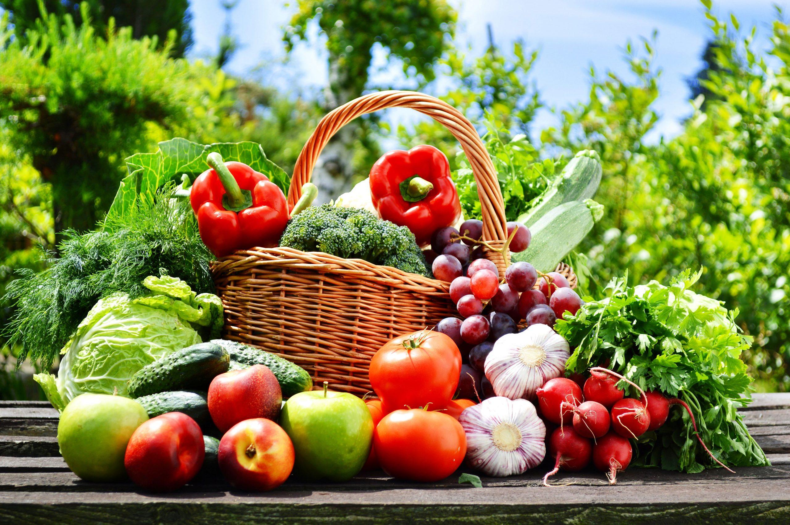 2560x1702 Fruits and vegetables wallpaper, nature, basket, apples, grapes • Wallpaper For You HD Wallpaper For Desktop & Mobile