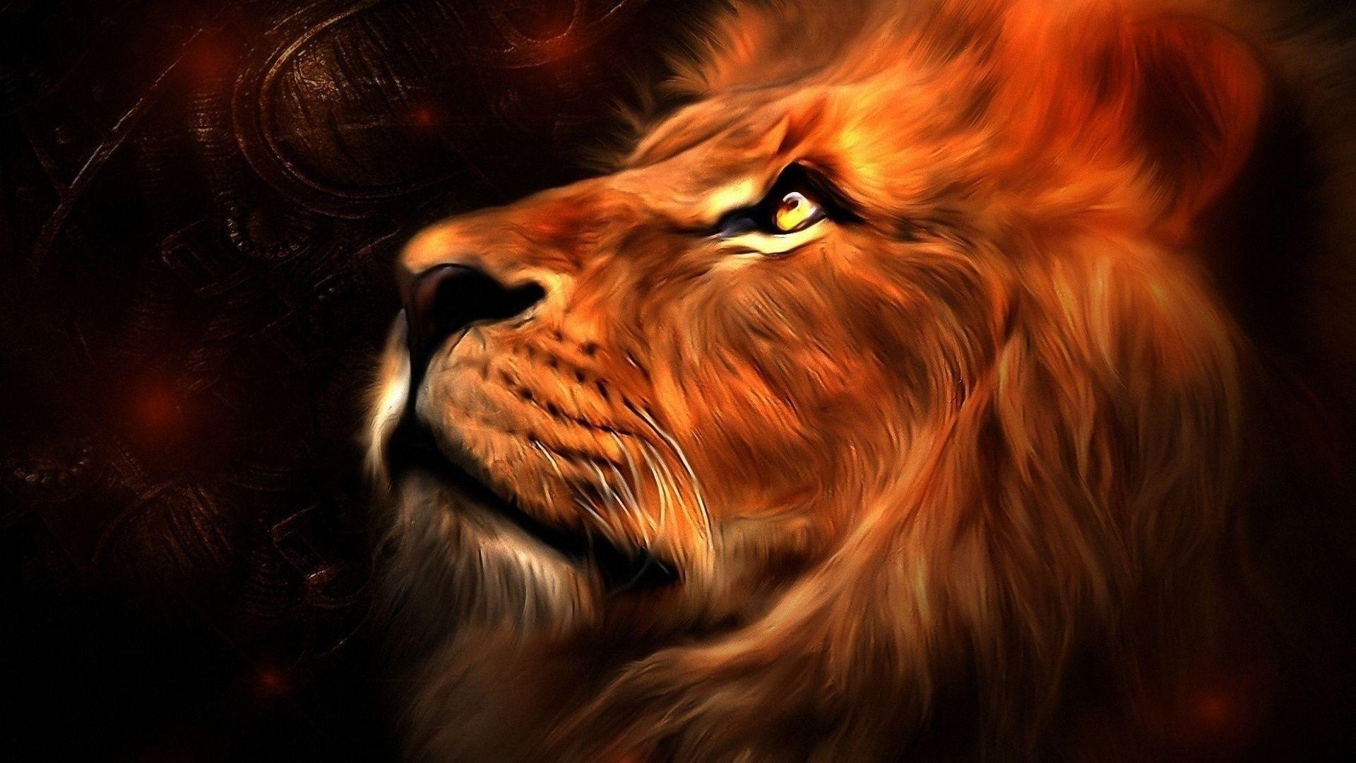 Lion on fire angry animal burn mad wild HD phone wallpaper  Peakpx