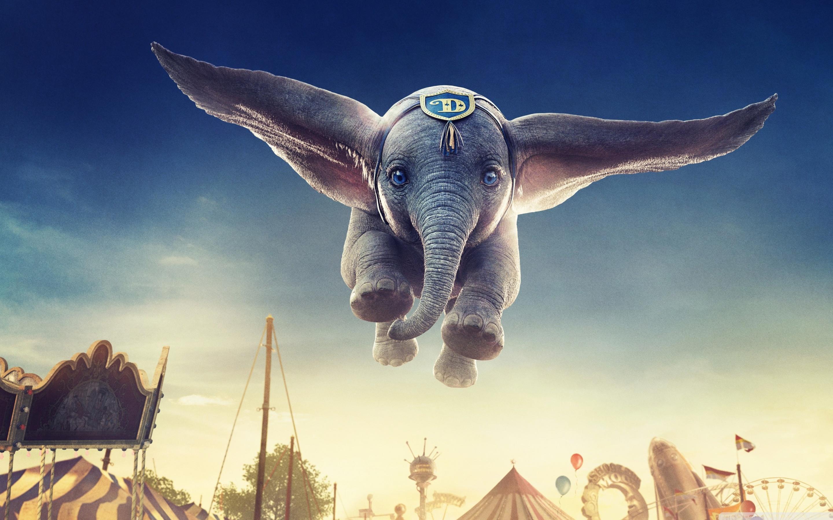 Baby Dumbo Wallpapers - Top Free Baby Dumbo Backgrounds - WallpaperAccess