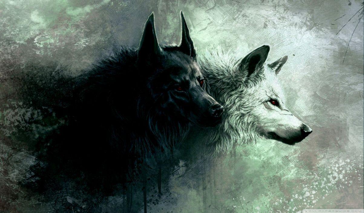 1203x706 Best HD Desktop Wallpaper. All HD Wallpaper Gallery