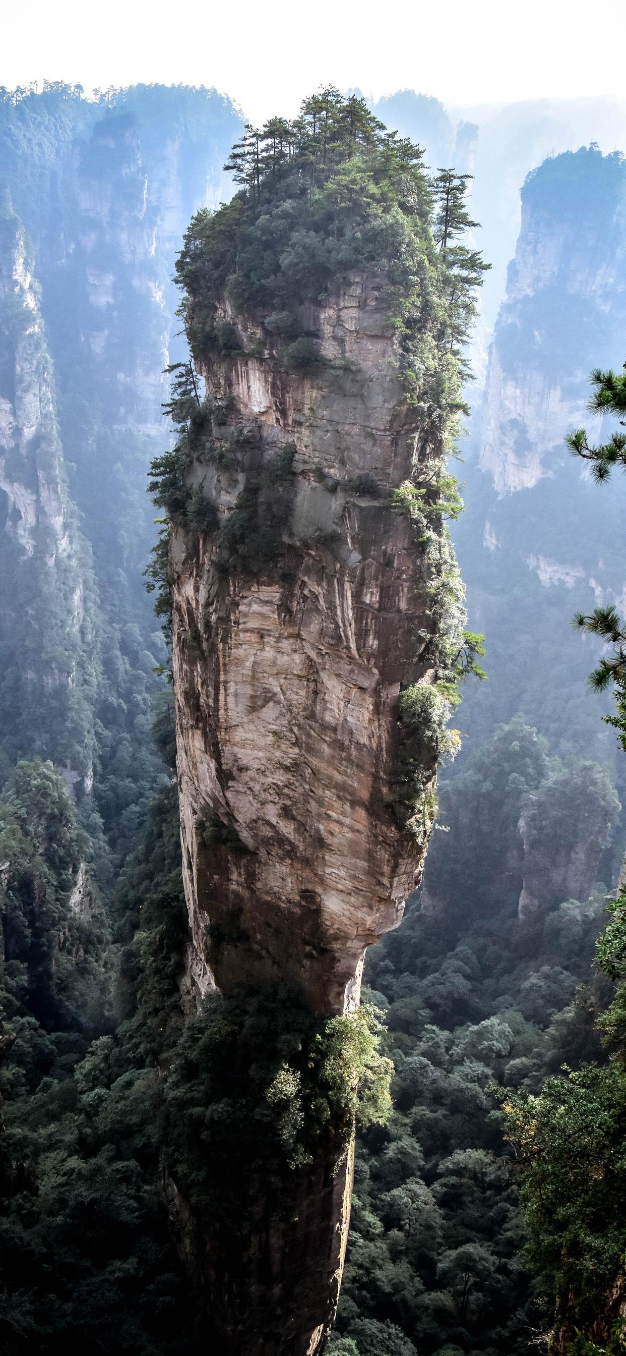 1242x2688 Avatar is real iPhone Wallpaper Free Download