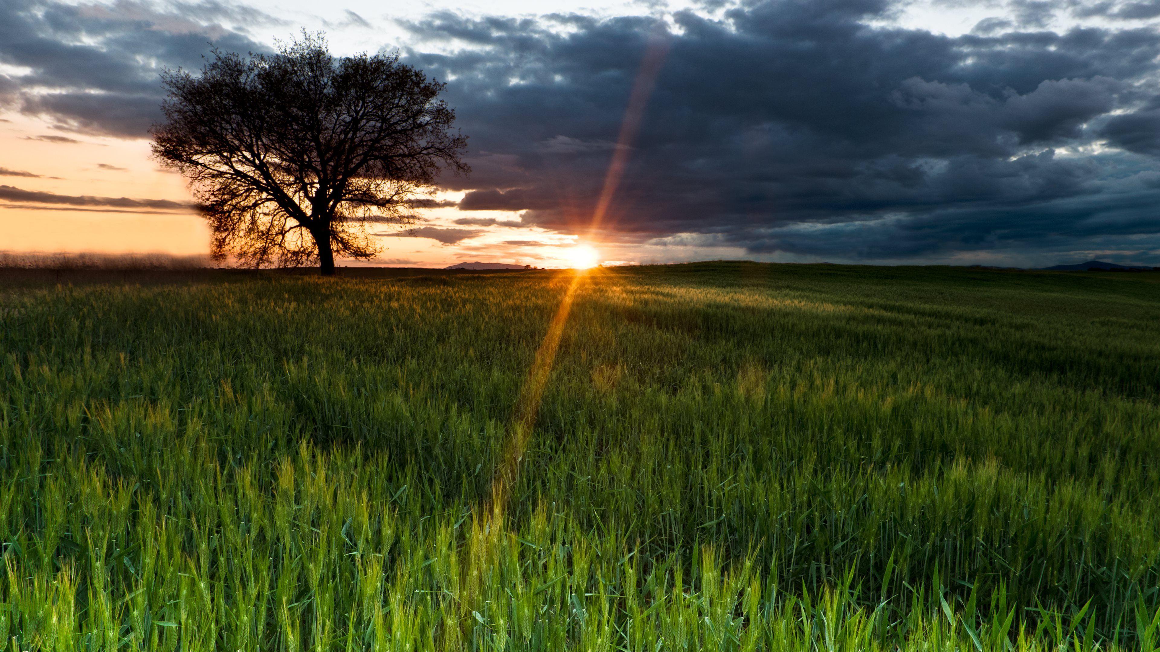 3840x2160 8K Ultra HD Nature Wallpaper