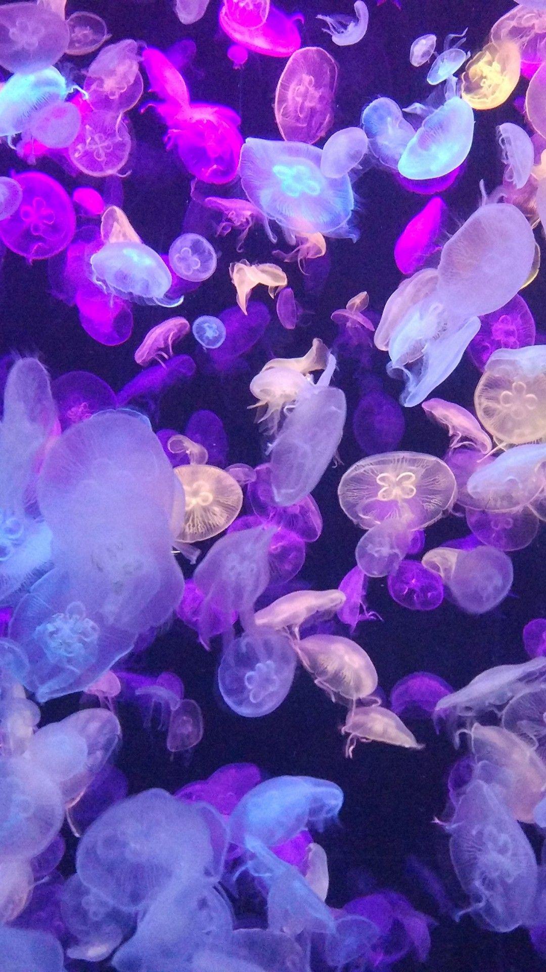 1080x1920 Purple Crystal Wallpaper 2020
