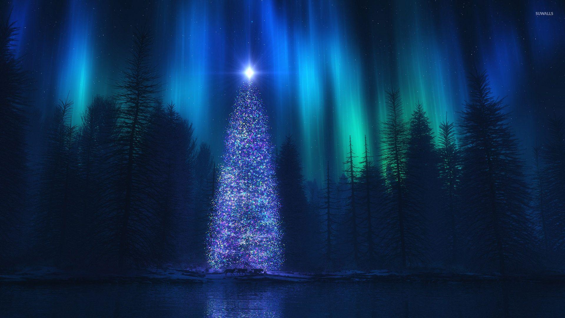 Christmas Forest Wallpapers - Top Free Christmas Forest Backgrounds