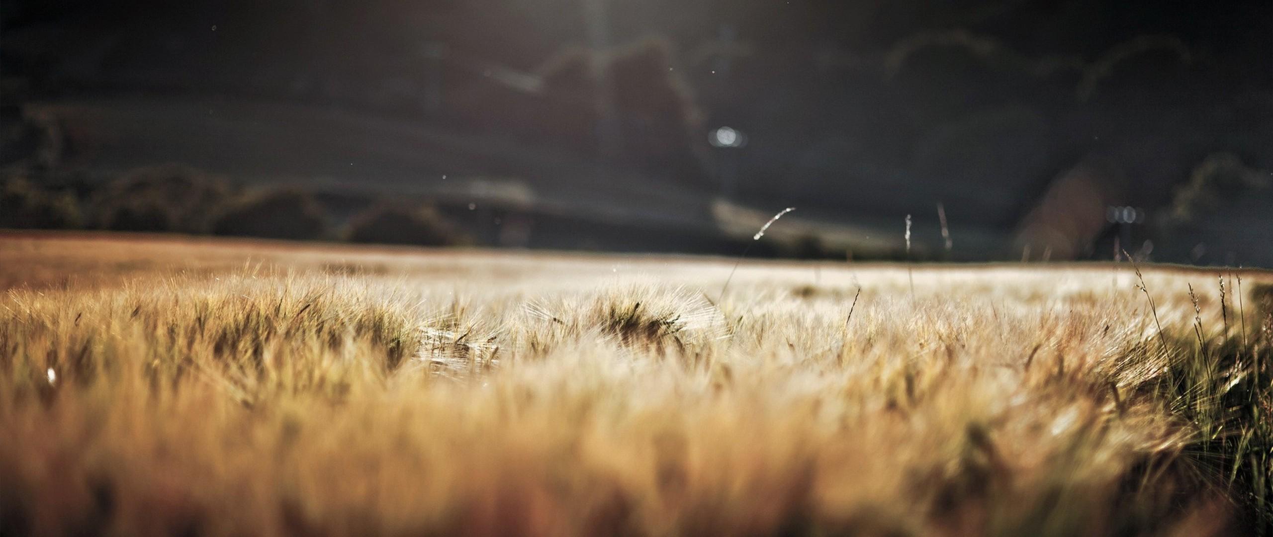 2560x1080 Ultra Wide HD Wallpaper, Background