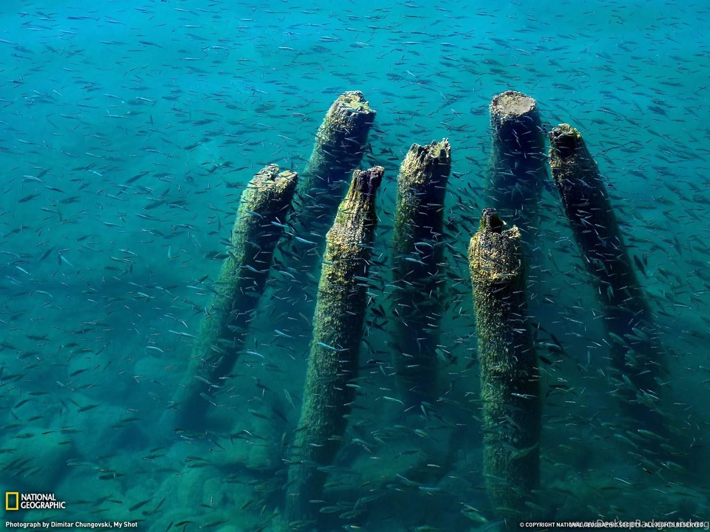 1400x1050 Lake Ohrid Dock Photo, Nature Wallpaper