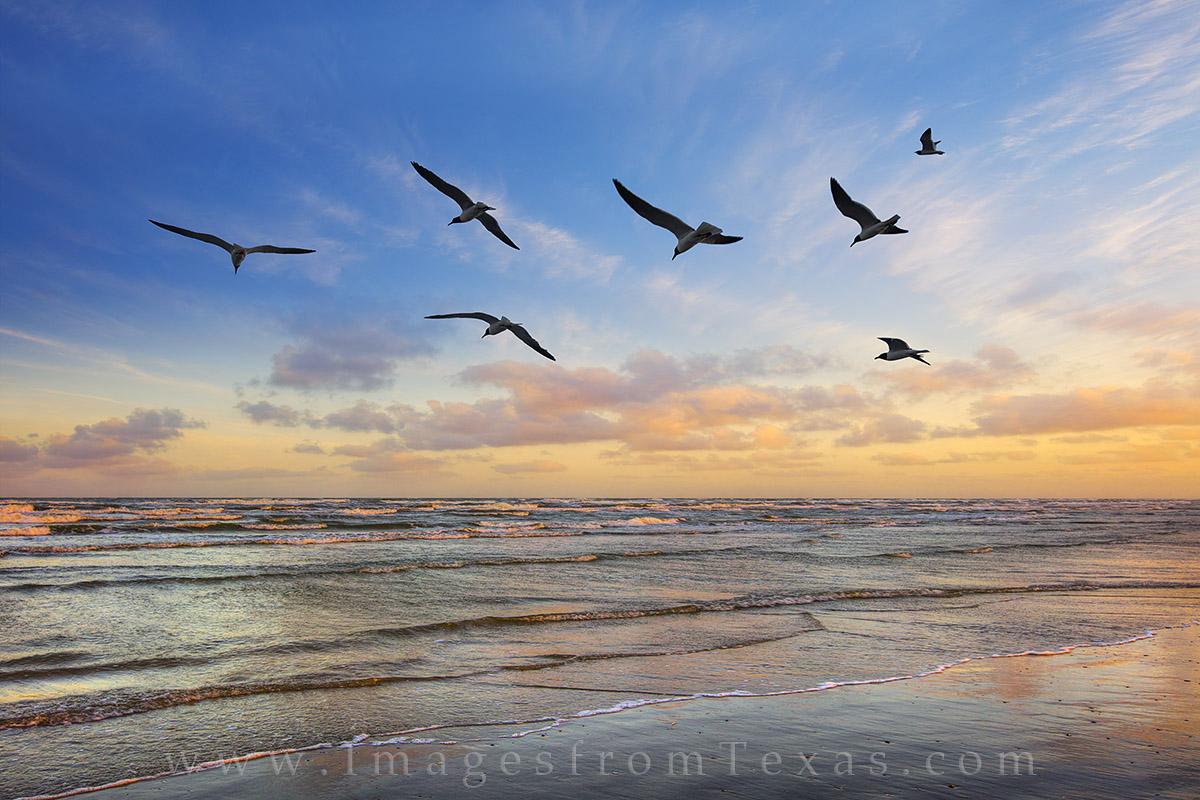 1200x800 Texas Coast Image and Prints Aransas and Rockport. Image from Texas