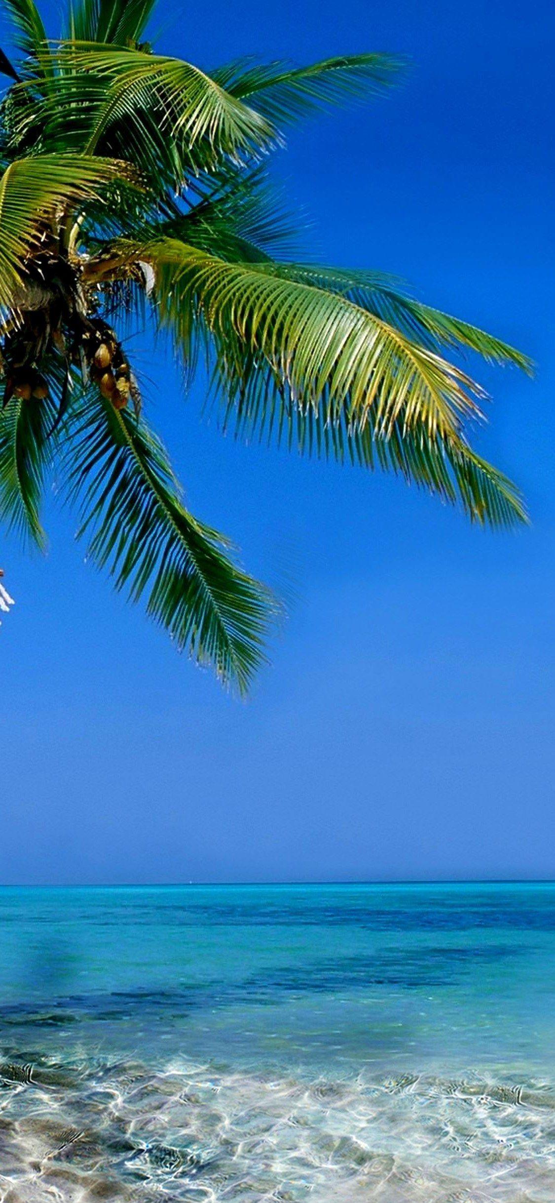 1125x2436 iPhone X Wallpaper Tropical beach ocean hawaii coast k HD. Tropical beach, Best nature wallpaper, Nature wallpaper