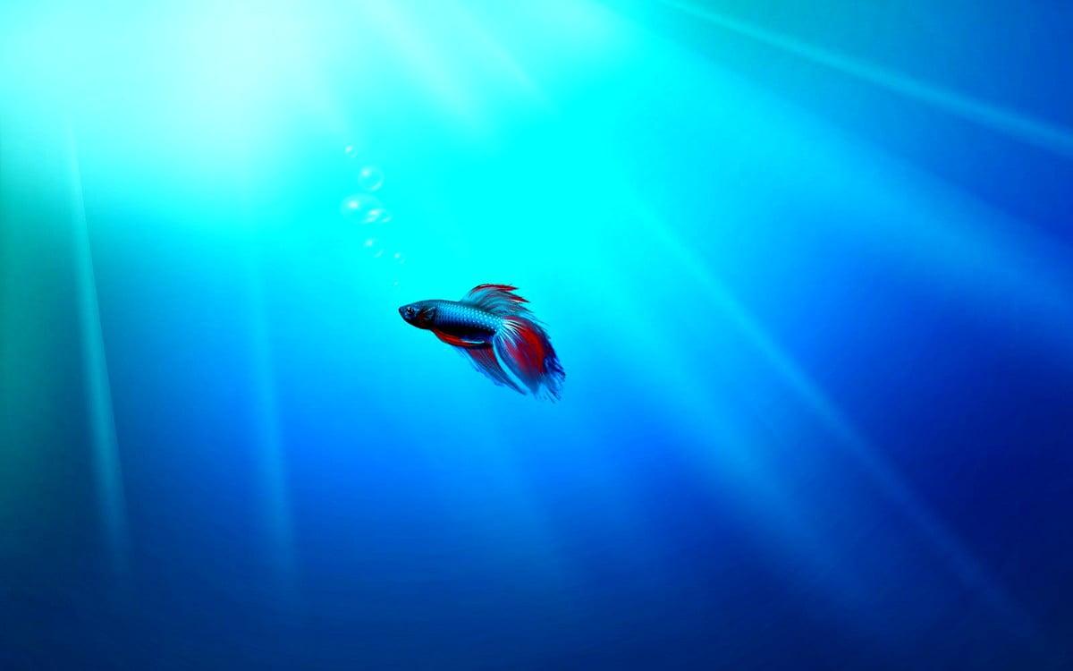 1200x750 Windows Blue, Aqua wallpaper. TOP Free pics