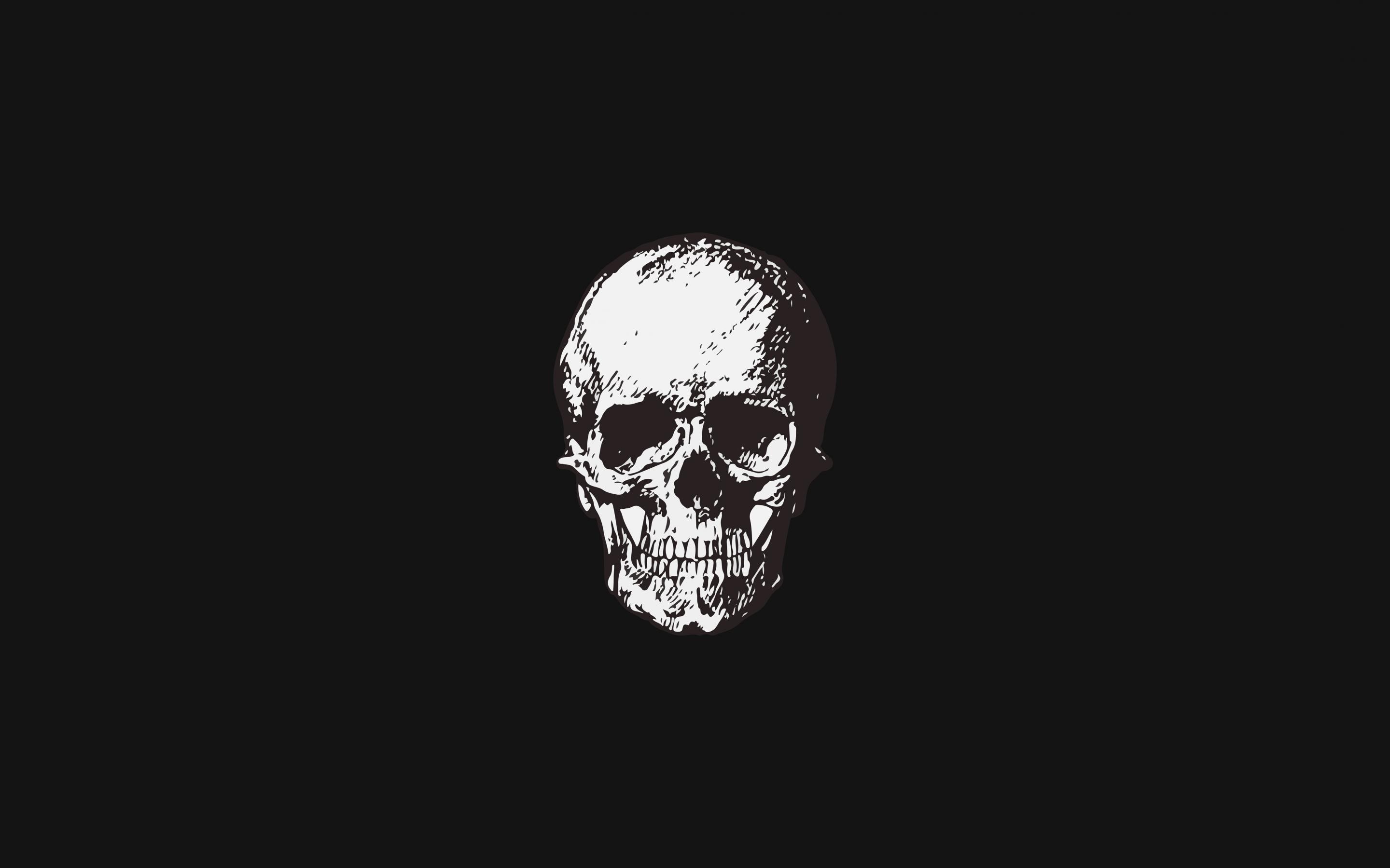 2880x1800 Download 2880x1800 wallpaper skull, bw, minimal, art, mac pro retaia image, background, 23007