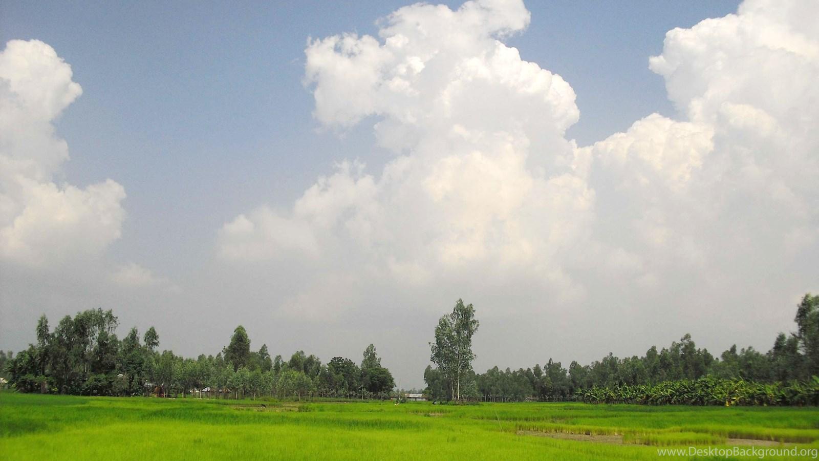1600x900 Village Shanto Bangladesh Wallpaper Fanpop Desktop Background
