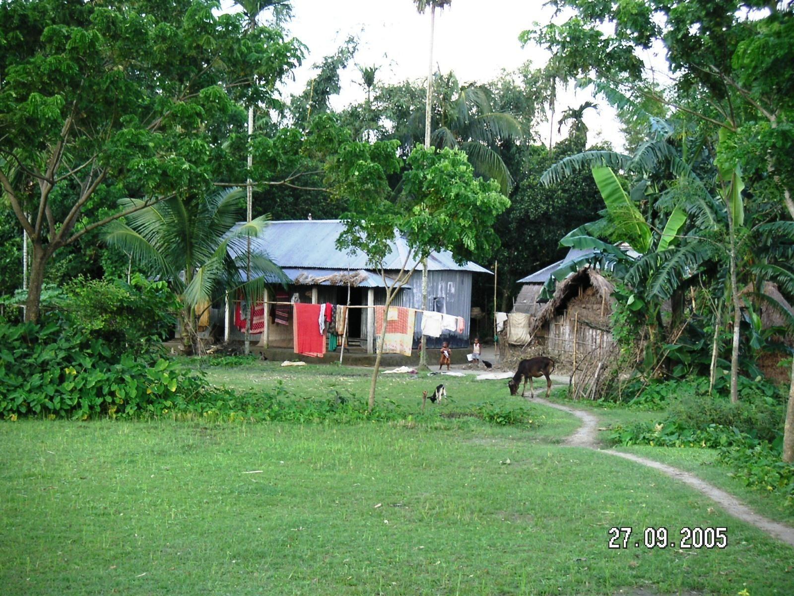 1600x1200 Bangladesh View. Landscape photo, Village house design, Landscape