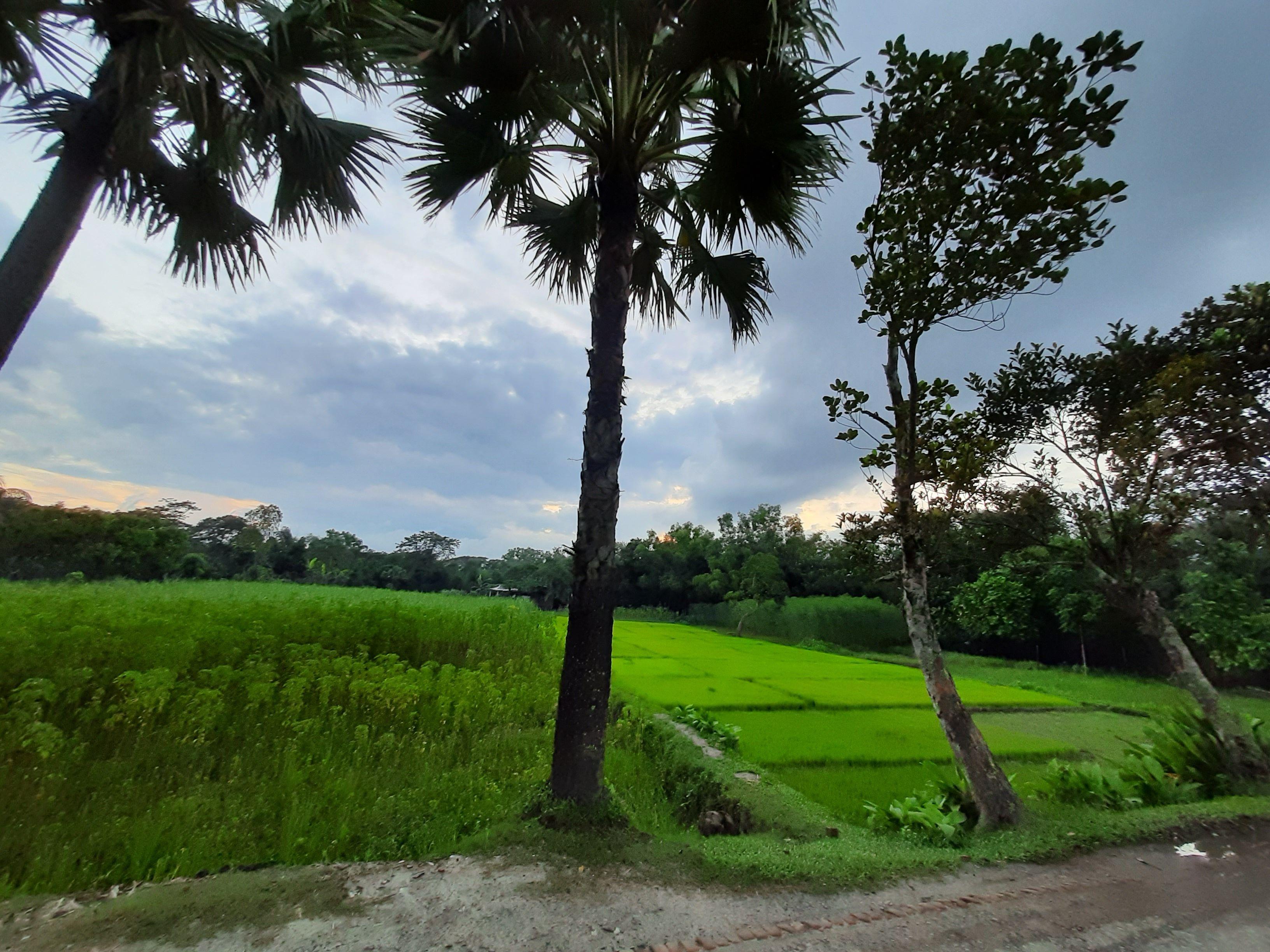 3264x2448 Village roadside of Bangladesh. Beautiful nature, Nature, Village