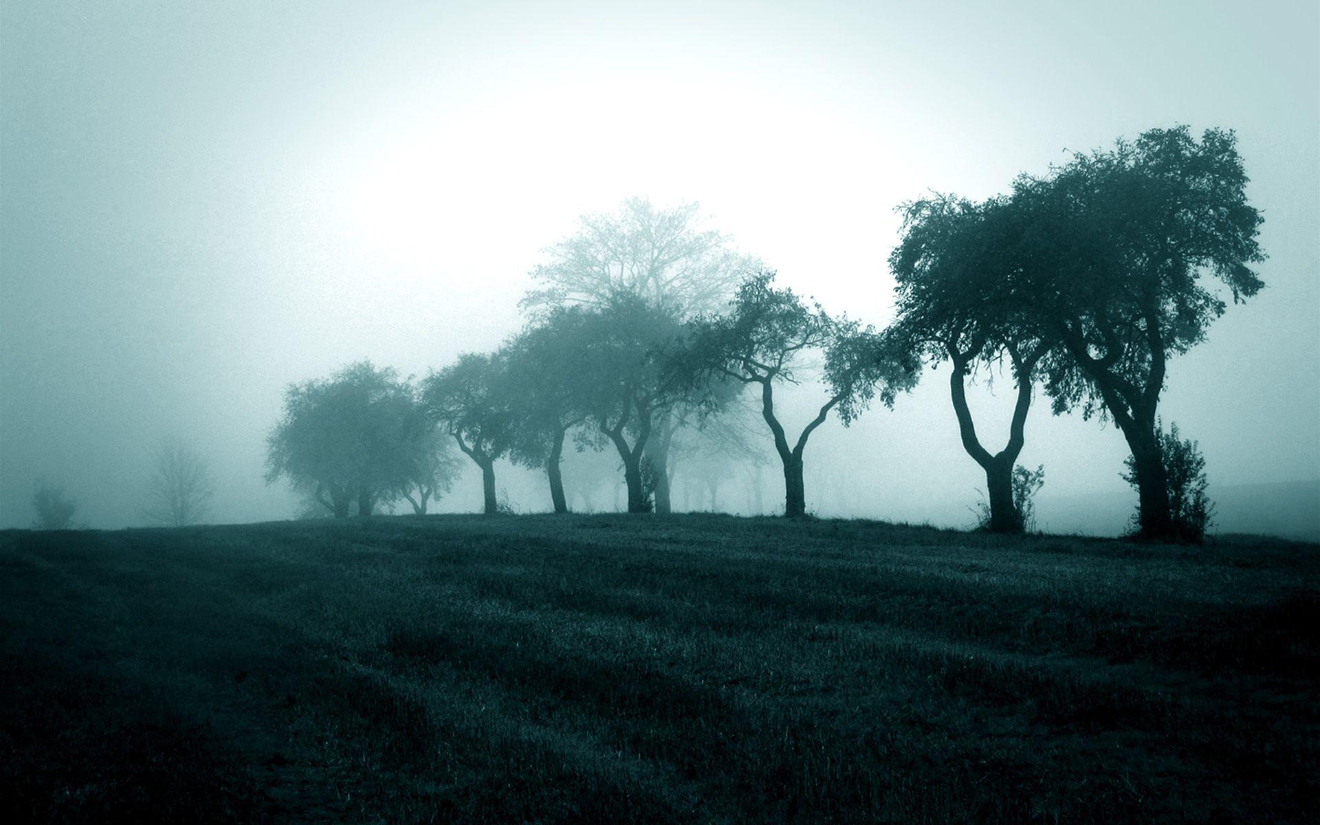 1920x1200 Theme Bin Blog Archive Misty Blue HD Wallpaper