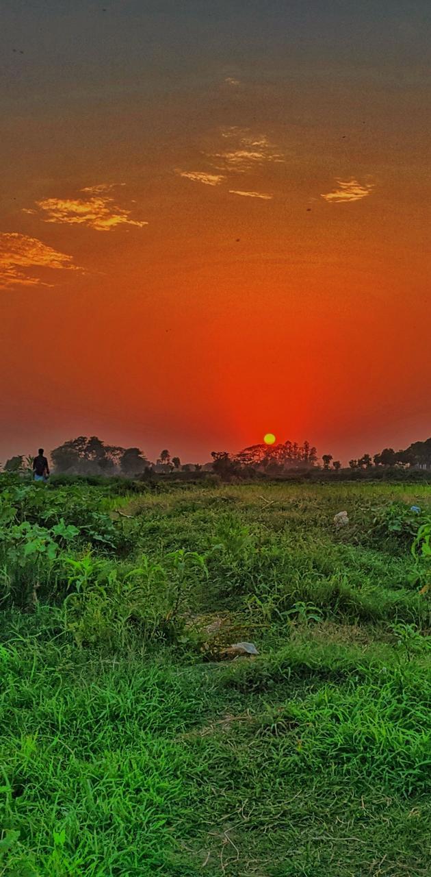 630x1280 Village Sunset wallpaper
