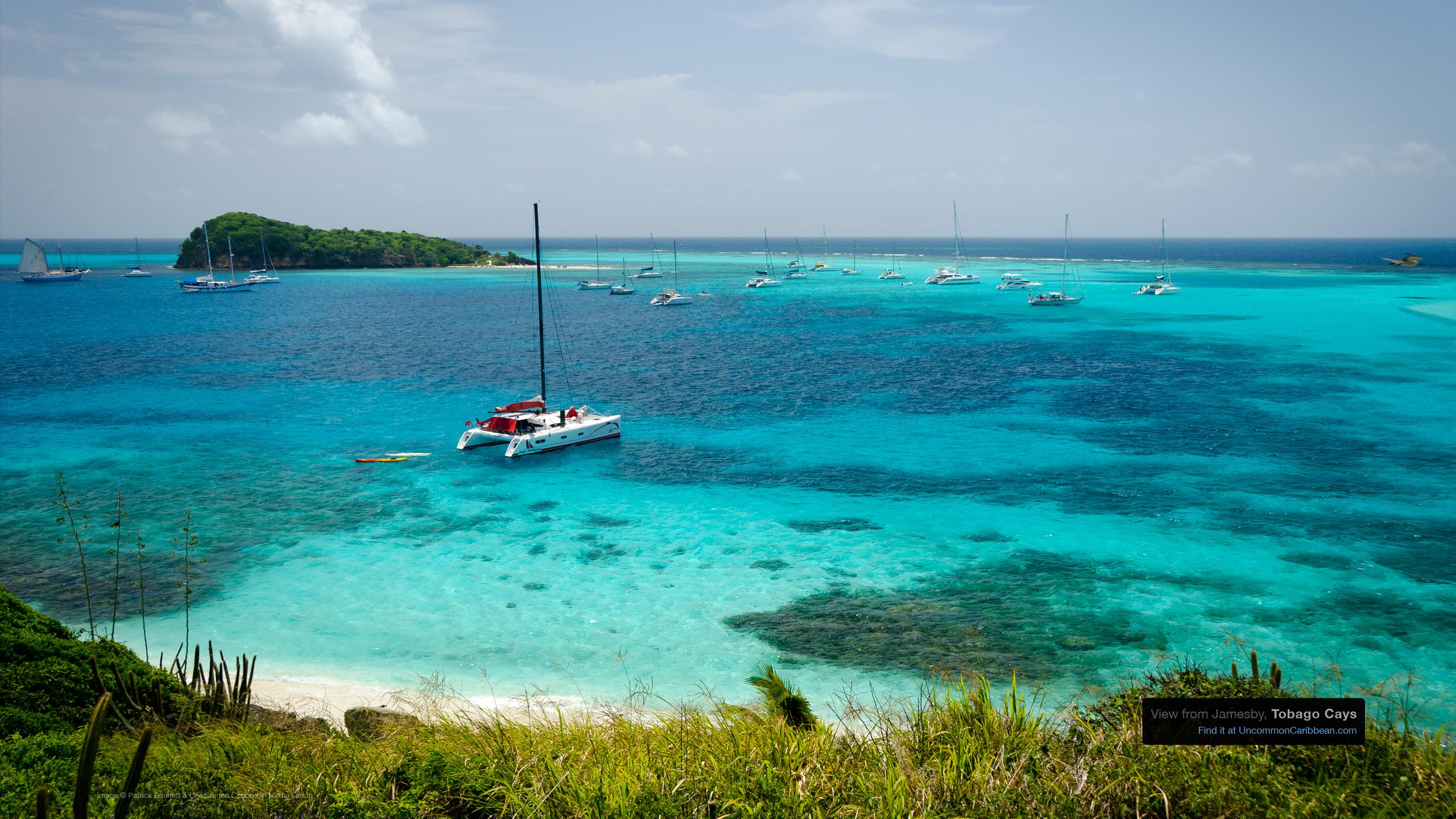 2560x1440 Download our Best Caribbean Desktop Wallpaper