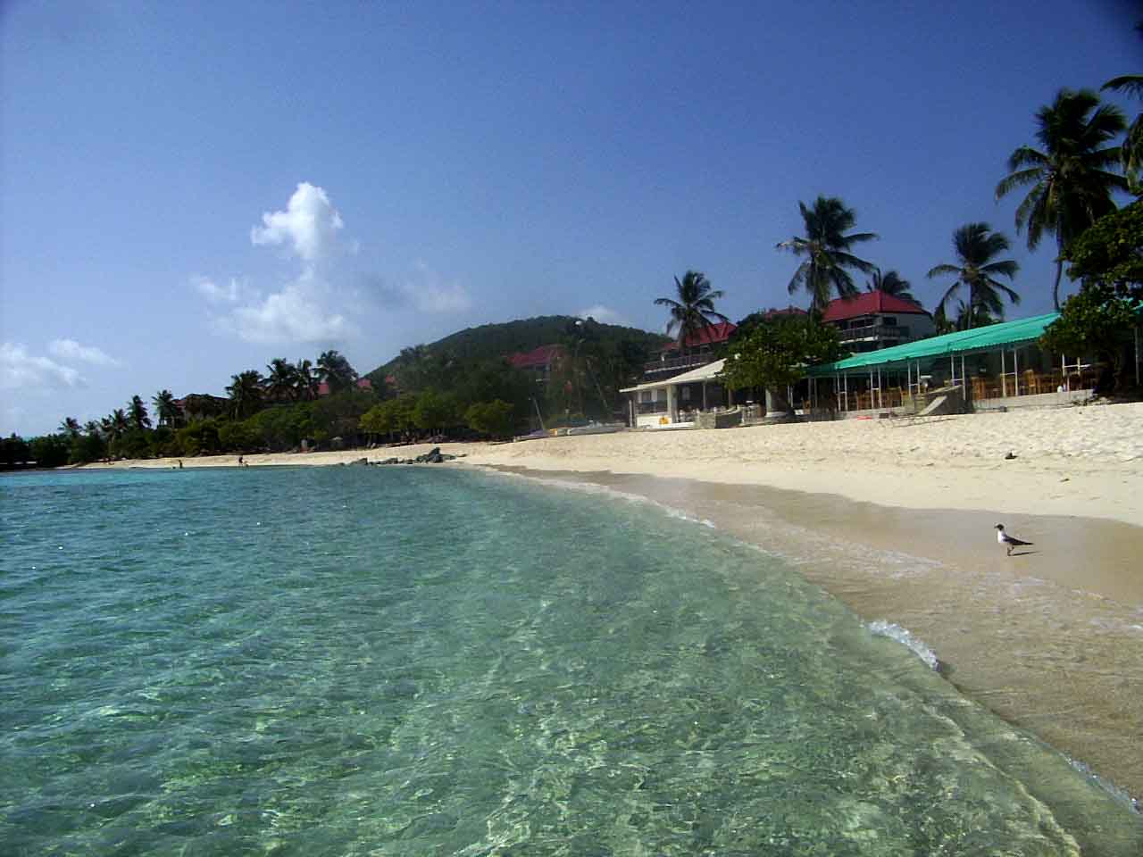 1280x960 Free Caribbean Beach Wallpaper