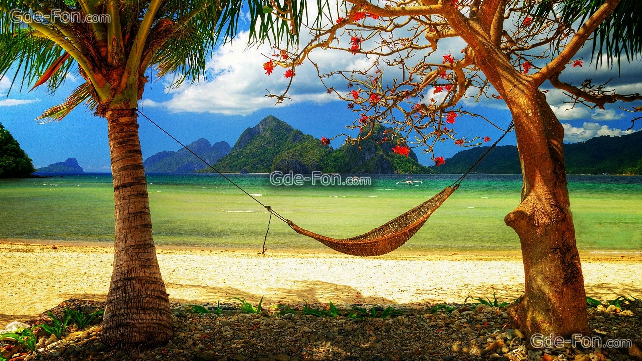 2560x1440 Free Caribbean Beach Wallpaper