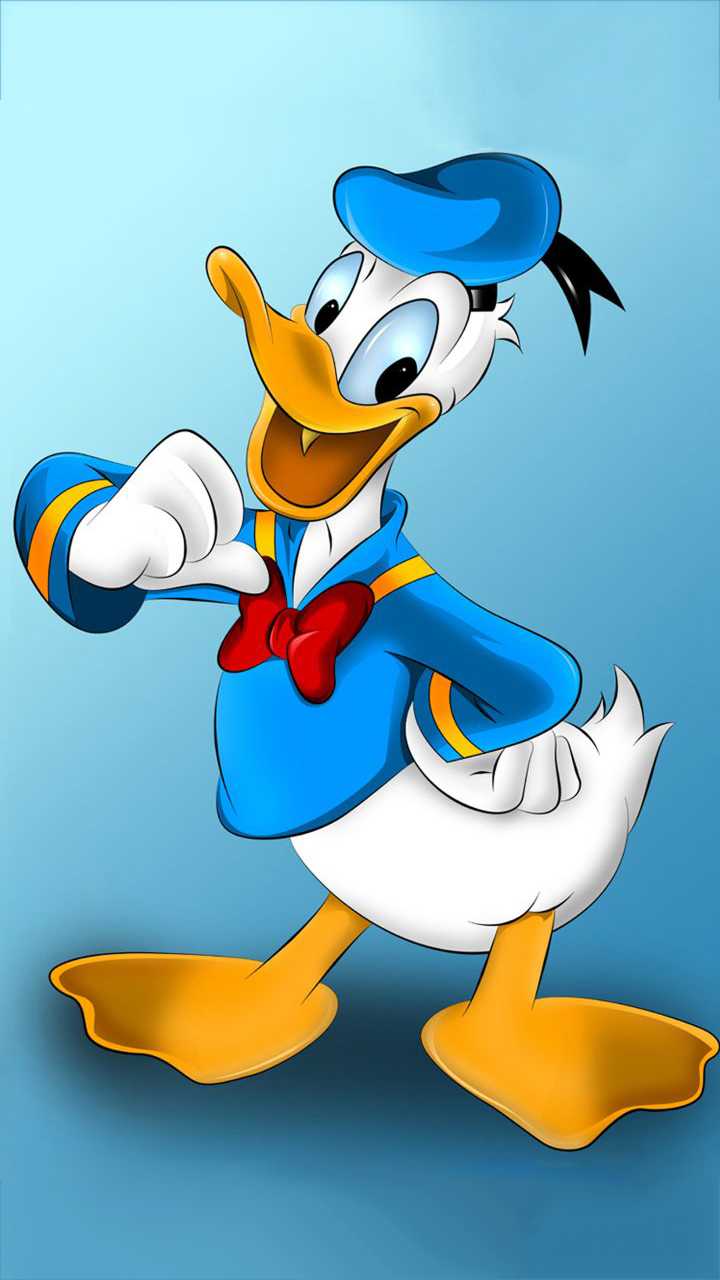 720x1280 IPhone Donald Duck Wallpaper