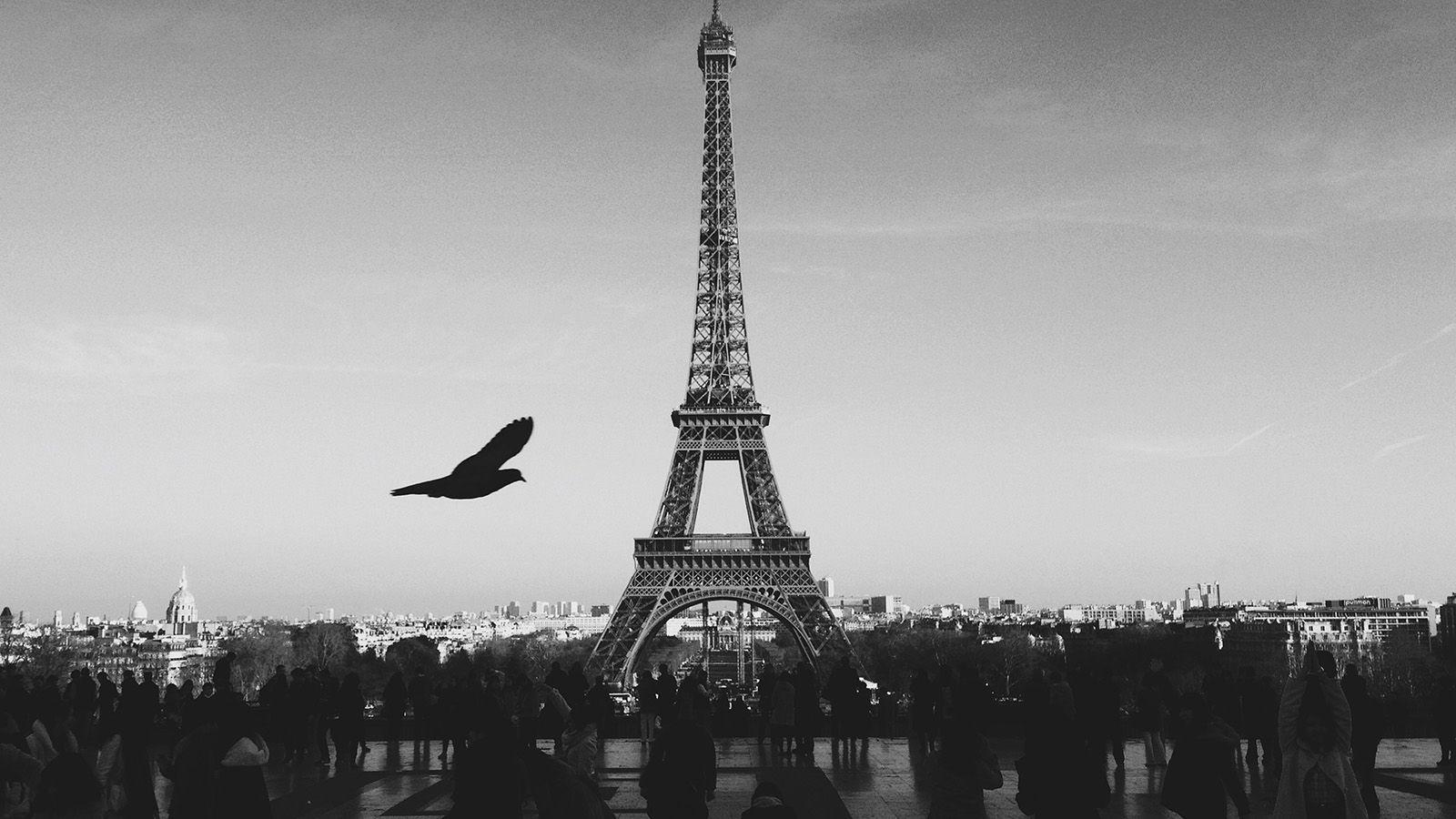 1600x900 I Love Papers. paris eiffel tower tour dark bw bird france