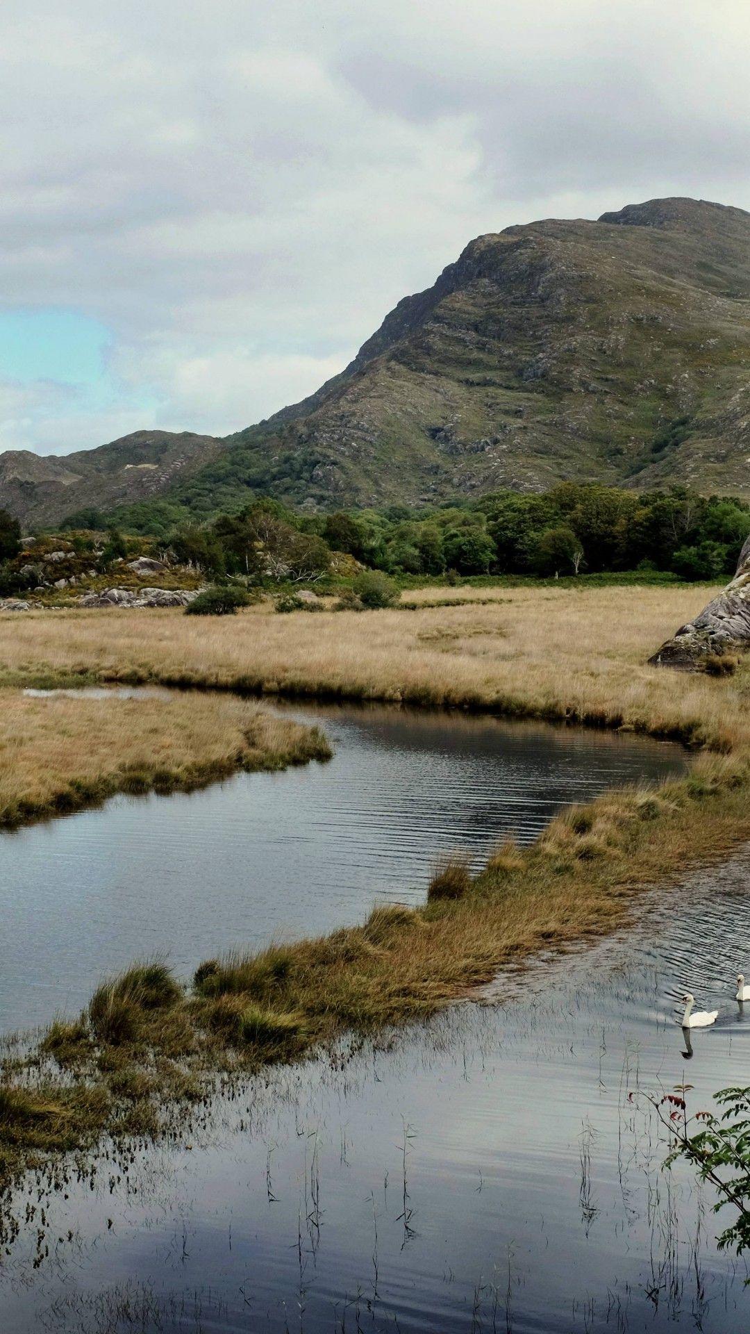 1080x1920 Swan Lake In Killarney Ireland Wallpaper iPhone 6 Plus