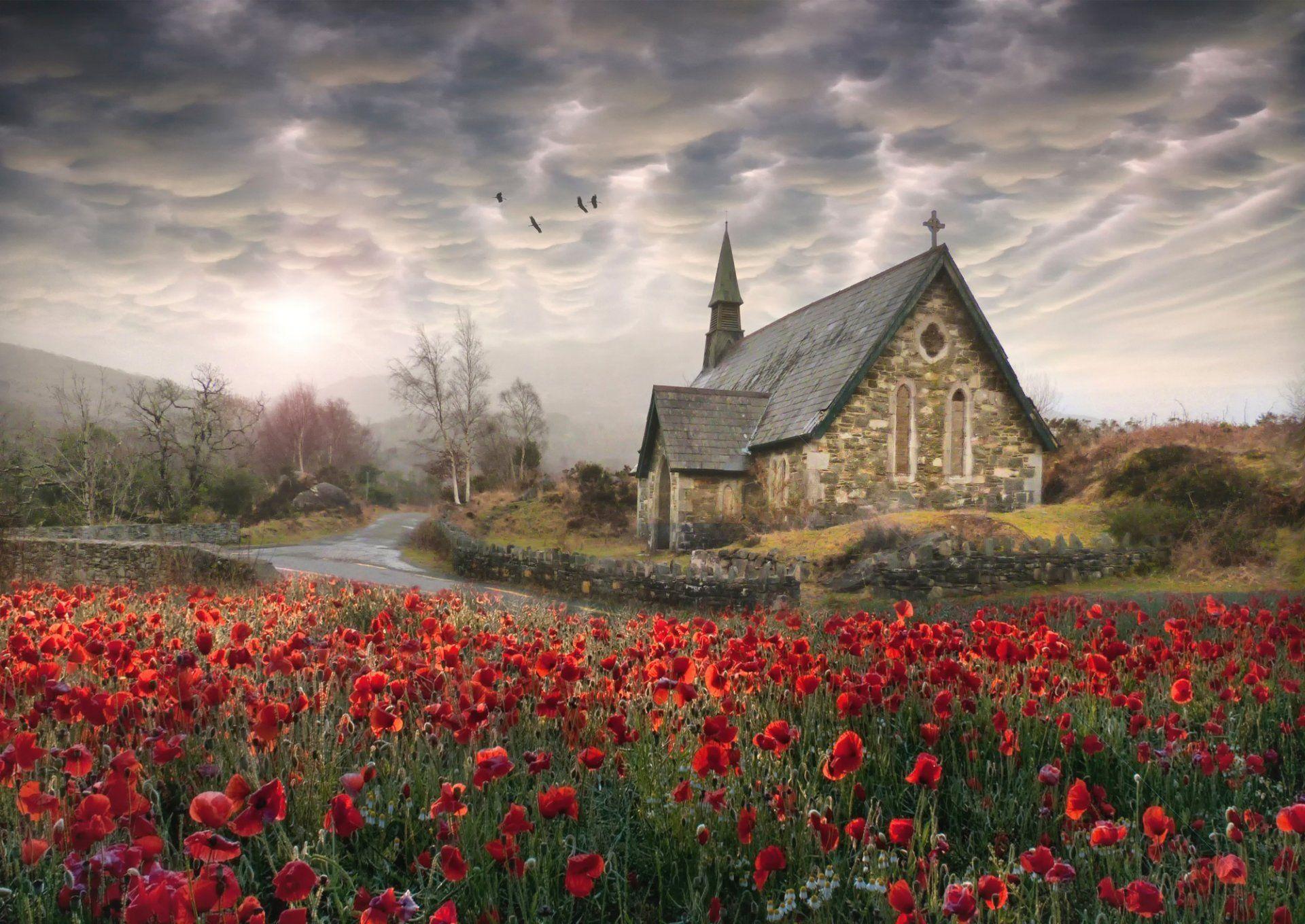 1920x1360 ireland poppies poppies church birds photohop elements HD wallpaper