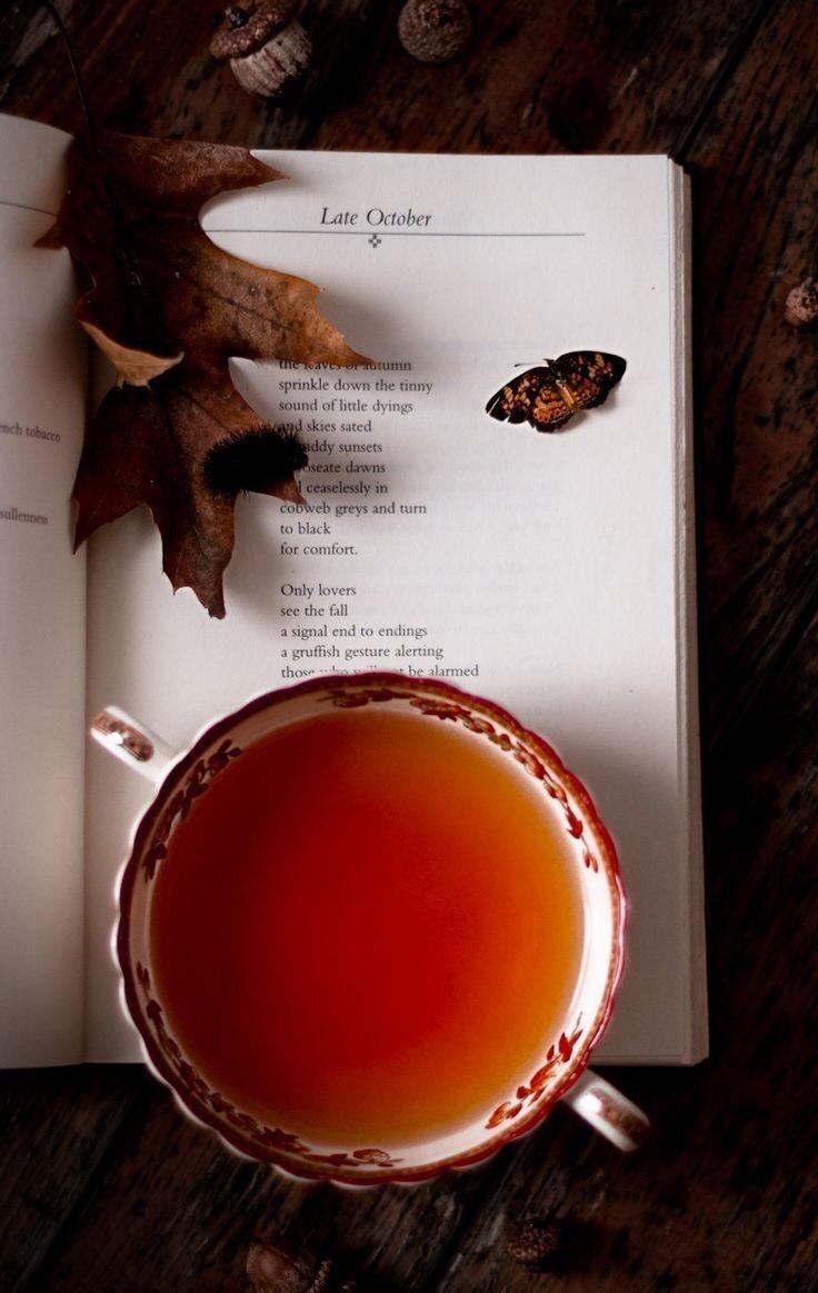 Autumn Tea Aesthetic Wallpapers - Top Free Autumn Tea Aesthetic ...