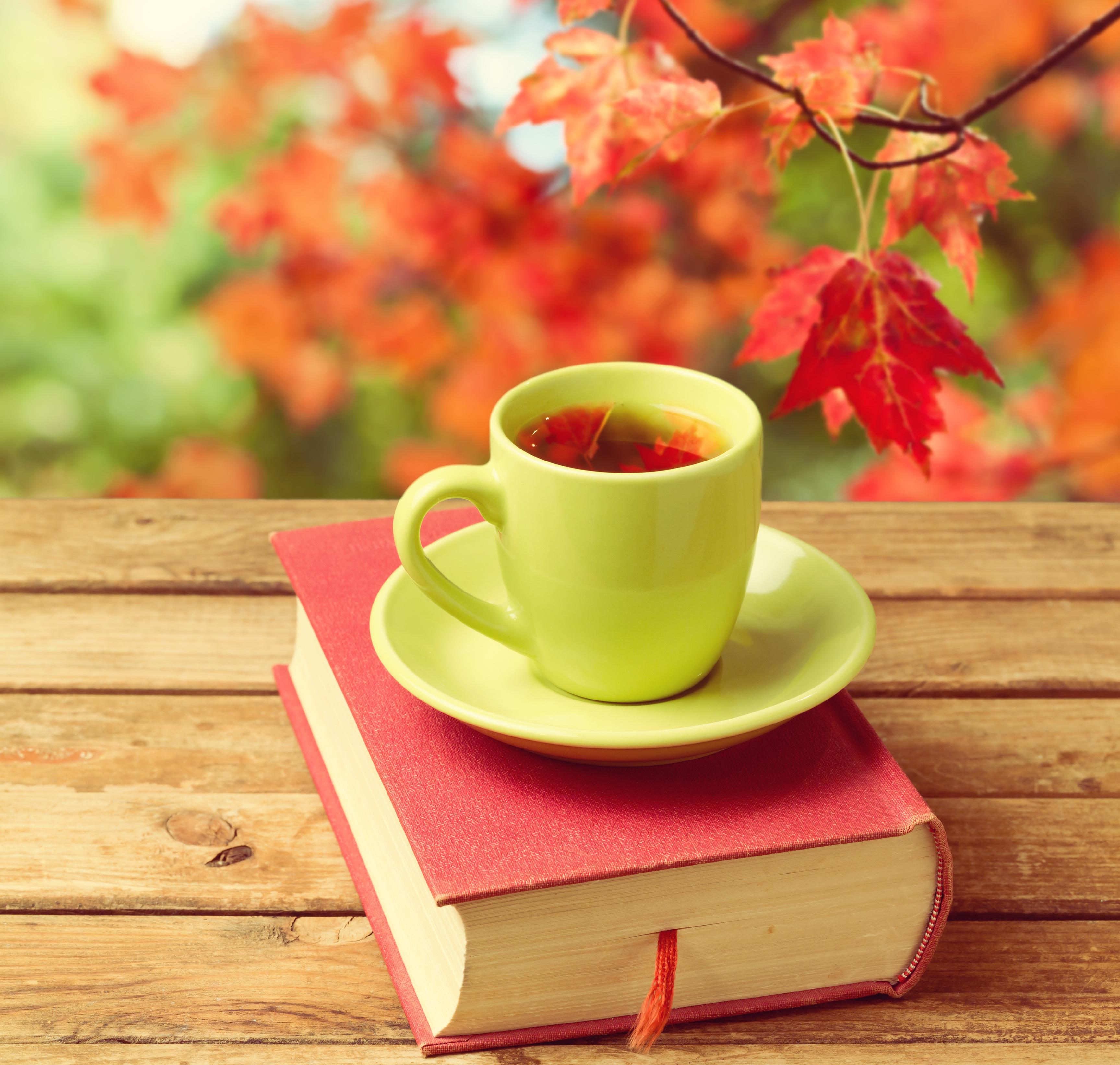 3454x3284 Free download Cup of tea with autumn leaves reflection 132203 High Quality [3454x3284] for your Desktop, Mobile & Tablet. Explore Cup of Tea Wallpaper. Teacup Puppies Wallpaper, Teacup Yorkie