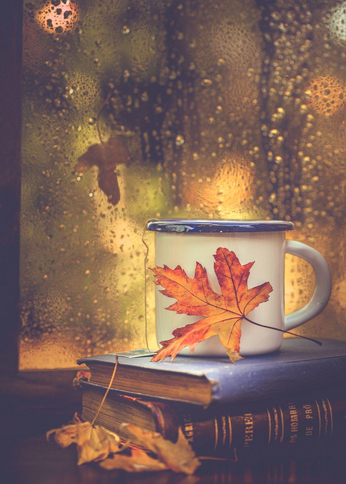 Autumn Tea Aesthetic Wallpapers - Top Free Autumn Tea Aesthetic