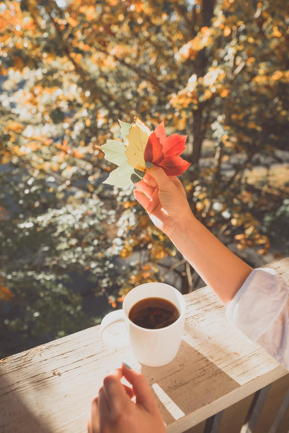1000x1499 Autumn Coffee Picture. Download Free Image