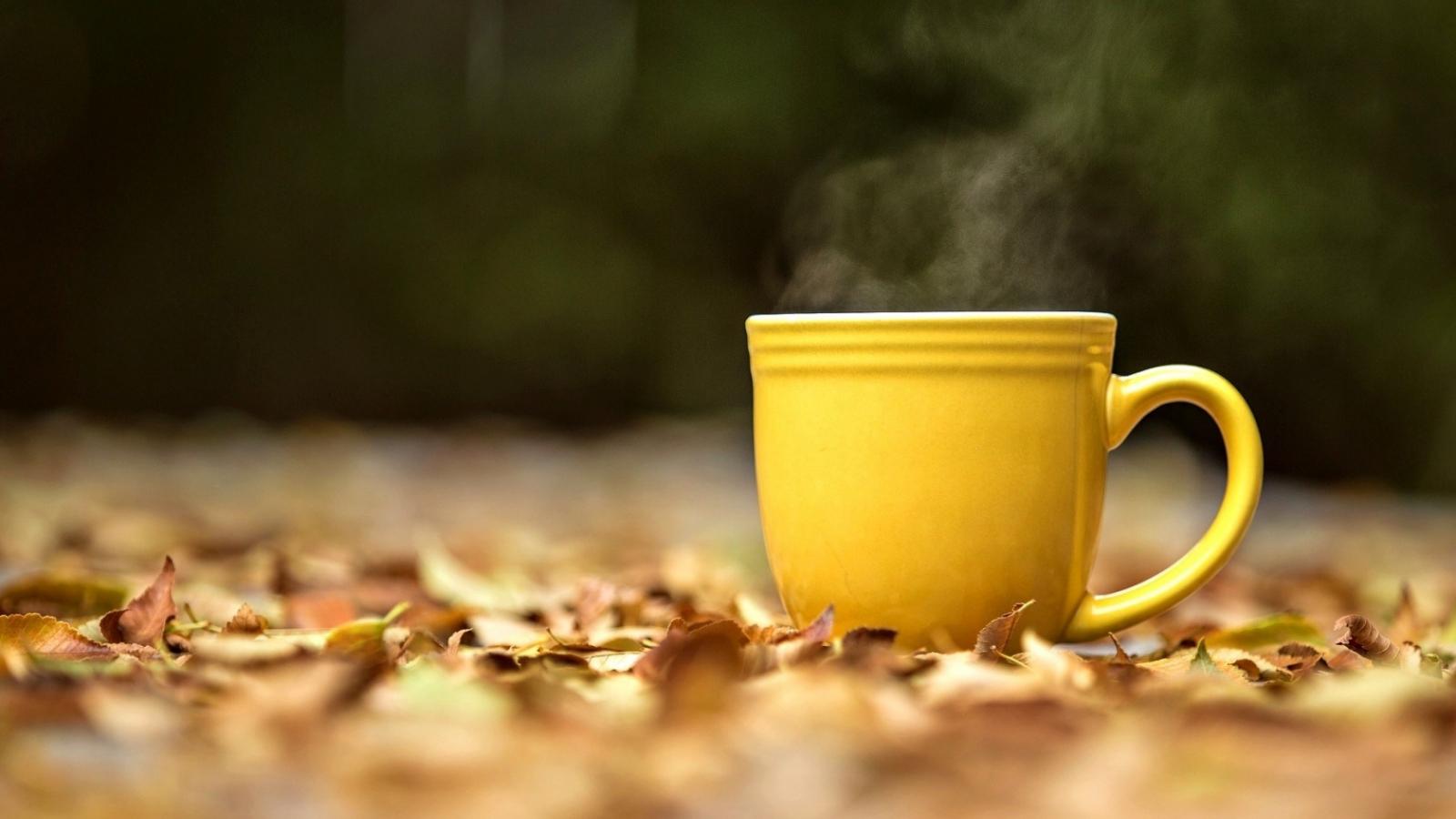 1600x900 Free download Mood Mug Cup Yellow Hot Tea Leaves Yellow Autumn HD Wallpaper [1680x1050] for your Desktop, Mobile & Tablet. Explore The Yellow Wallpaper Tone. Why I wrote The