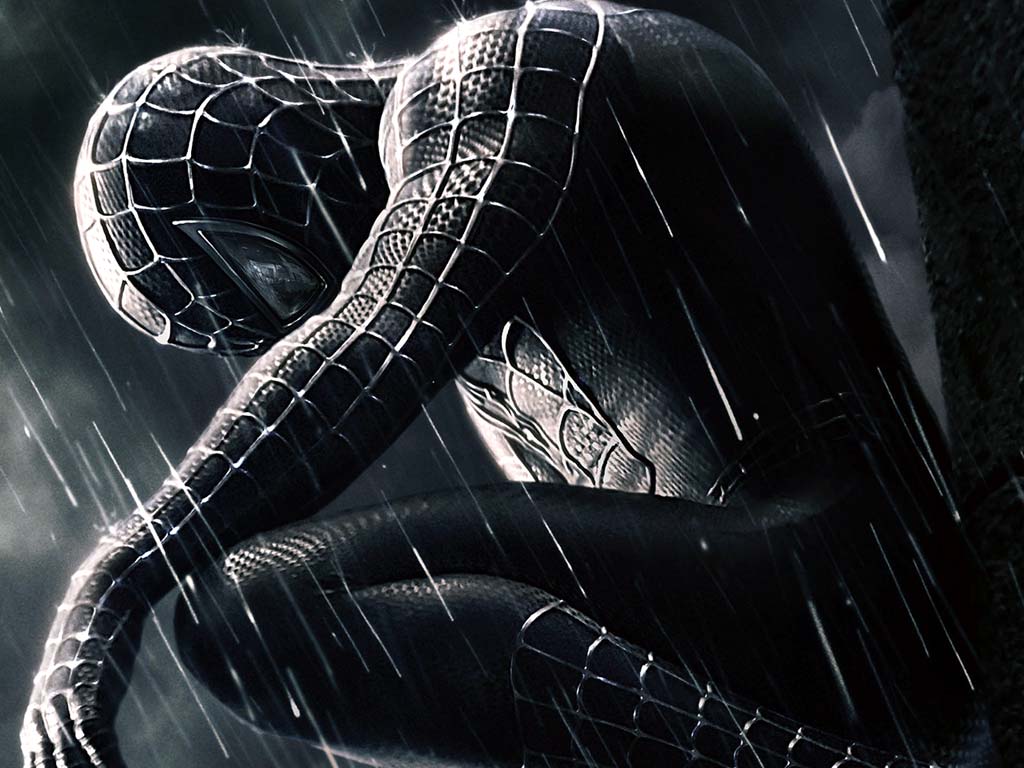 1024x768 Top Wallpaper: Spiderman Wallpaper