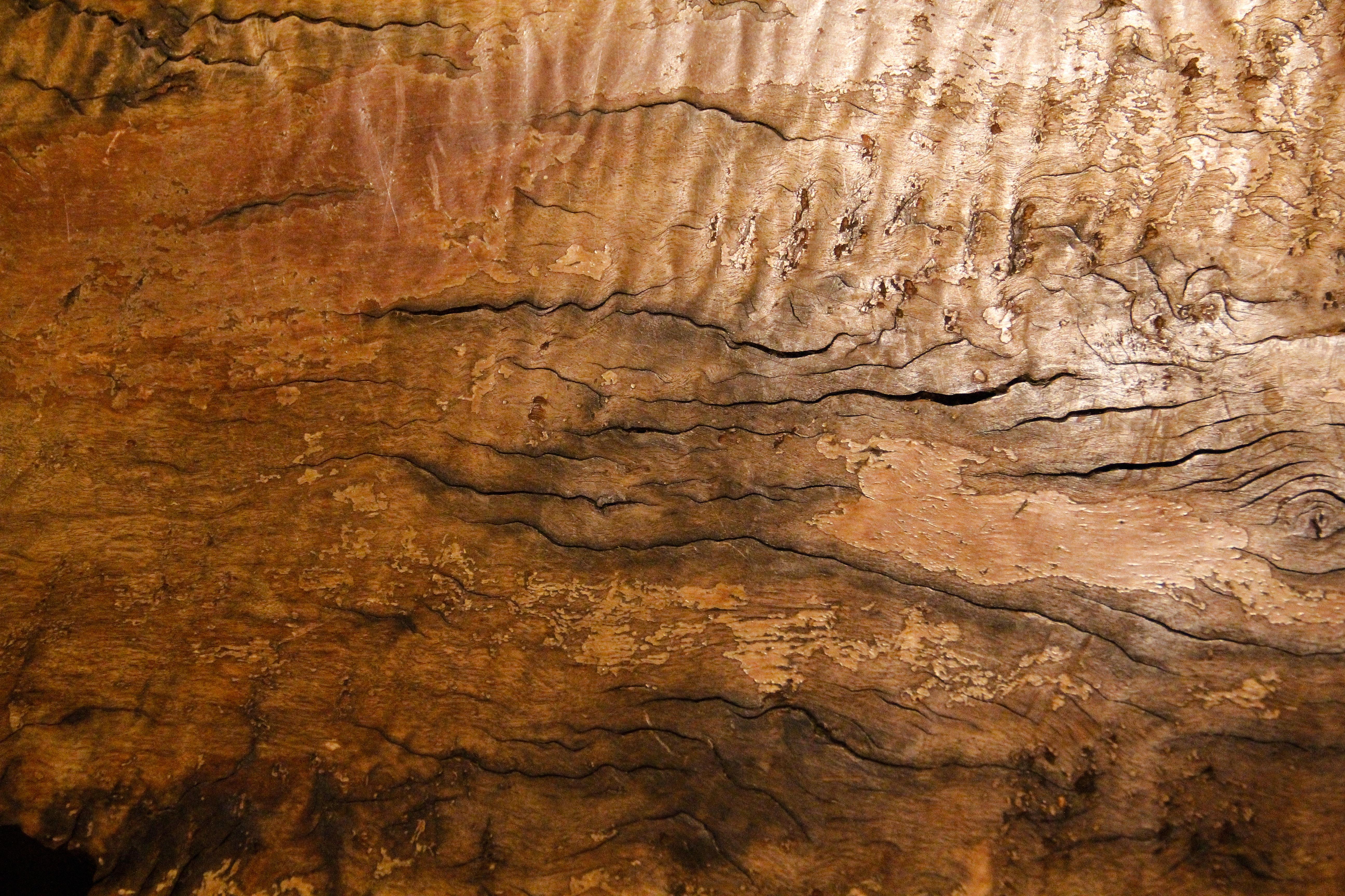 5184x3456 Wood Textures