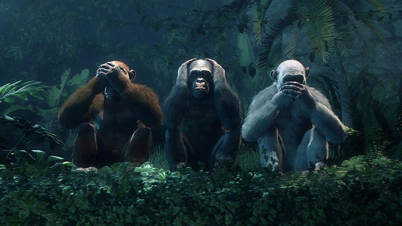 1280x720 Cool Monkey Wallpaper