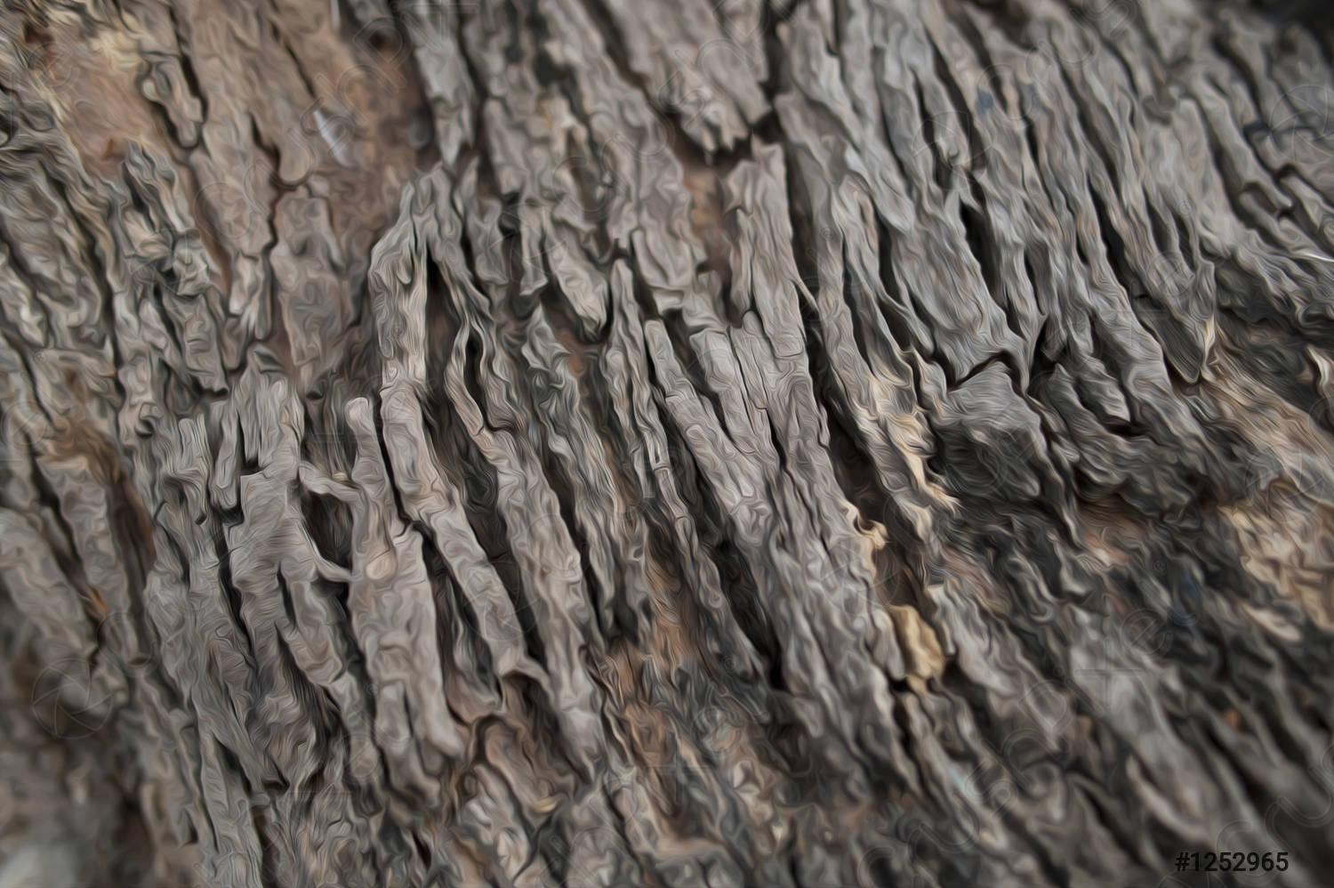 1500x998 Wood flooring beautiful wallpaper