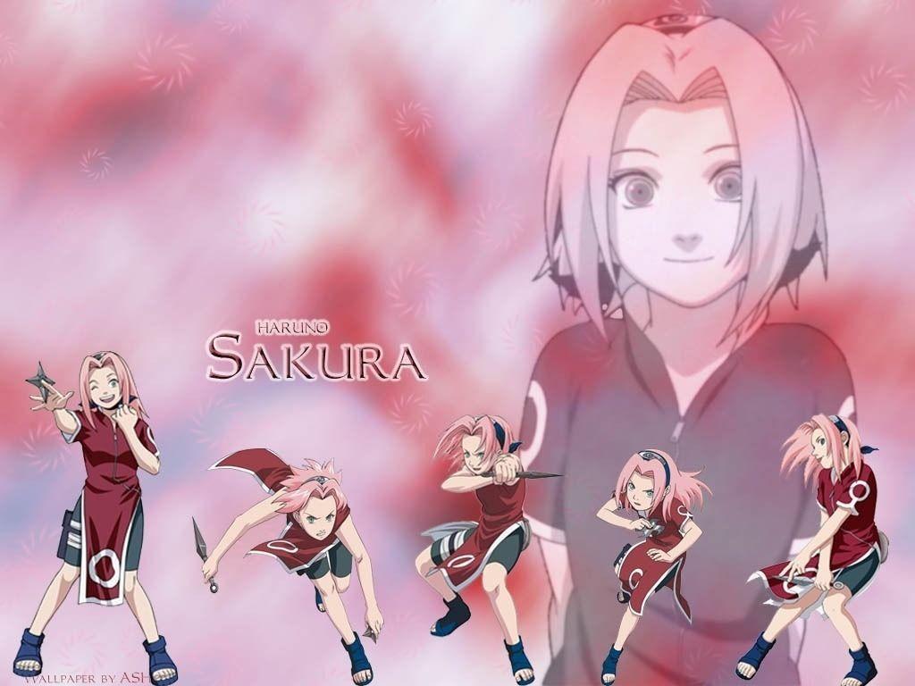 1024x768 Haruno Sakura Wallpaper: Sakura Haruno. Naruto wallpaper, Sakura haruno, Anime naruto