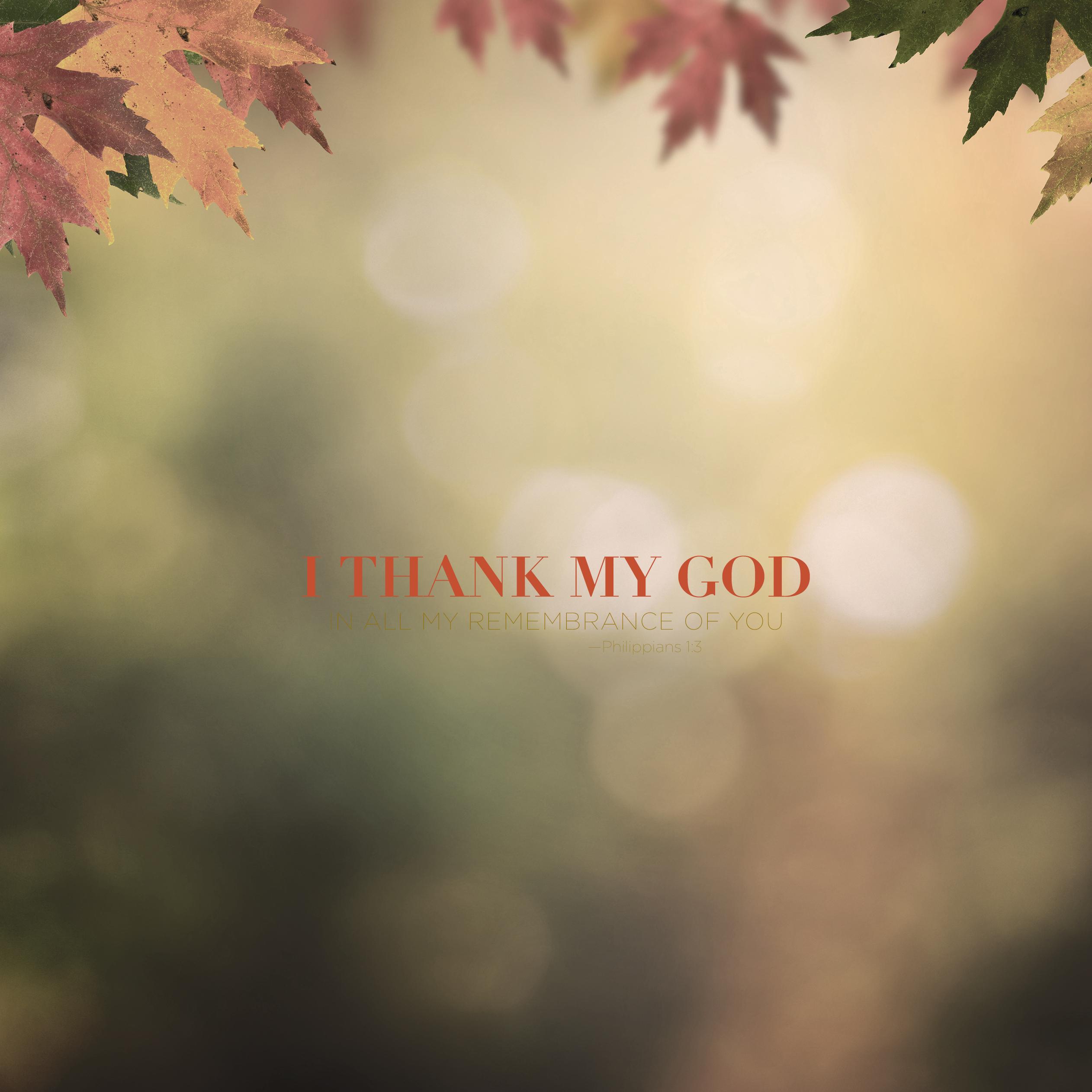 2524x2524 Wednesday Wallpaper: I Thank My God in All My Remembrance of You
